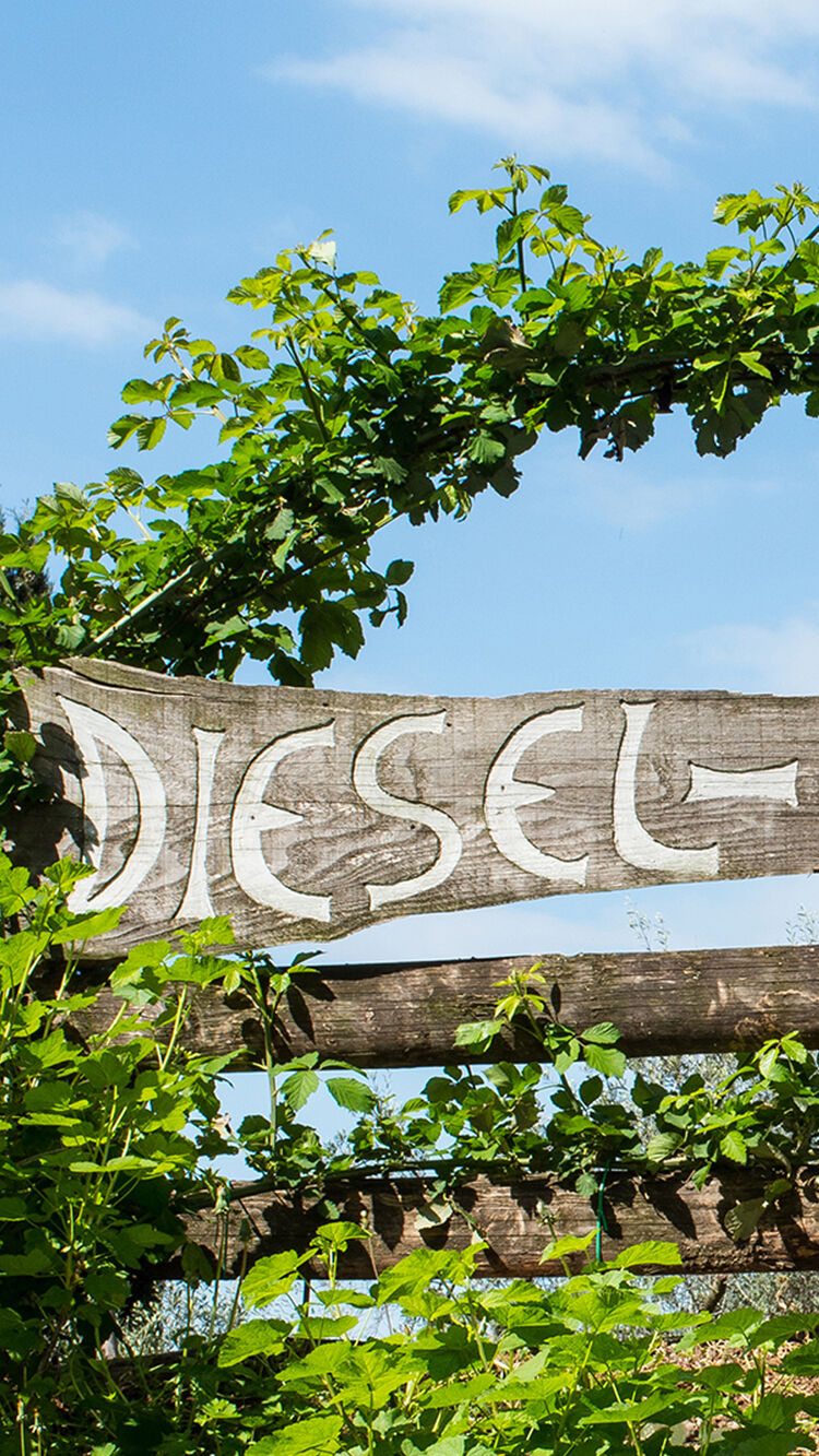 Cucina Diesel Farm