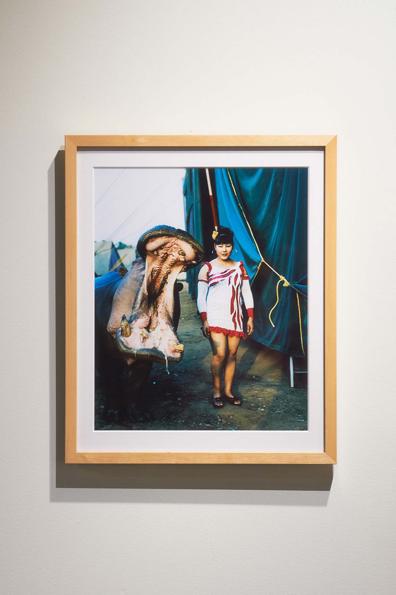 VICE Magazine The Photo Issue 4冊セット Amazon.co.jp: VICE MAGAZINE 『THE PHOTO ISSUE』 : 文房具