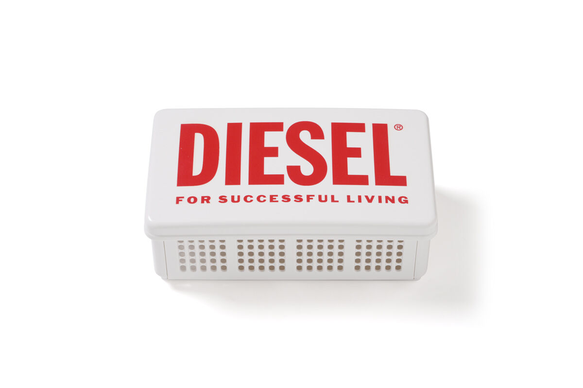 2月5日(水)よりスプリングキャンペーンがスタート！｜DIESEL KID