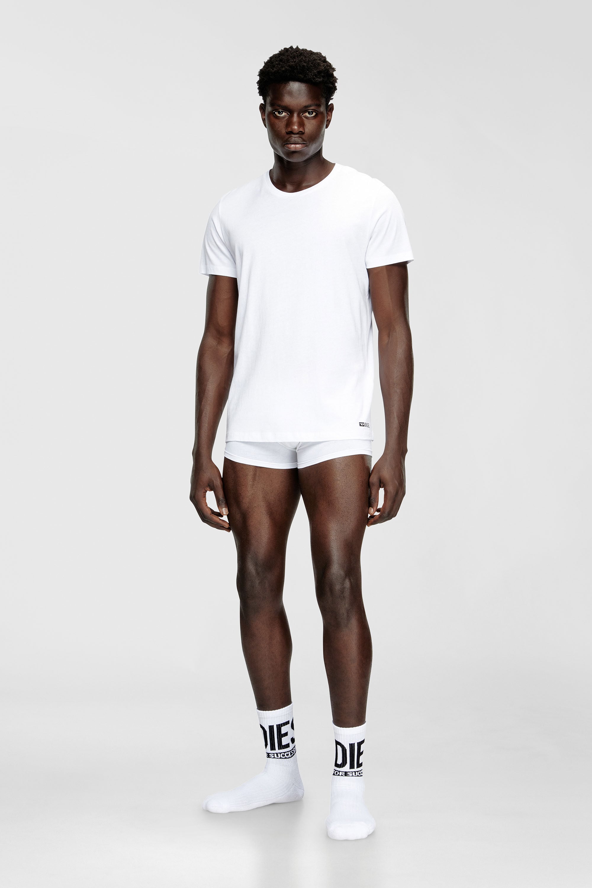 Diesel - RANDAL-D-BOX-3PACK, Male's Tシャツ3枚パック in ホワイト - 1
