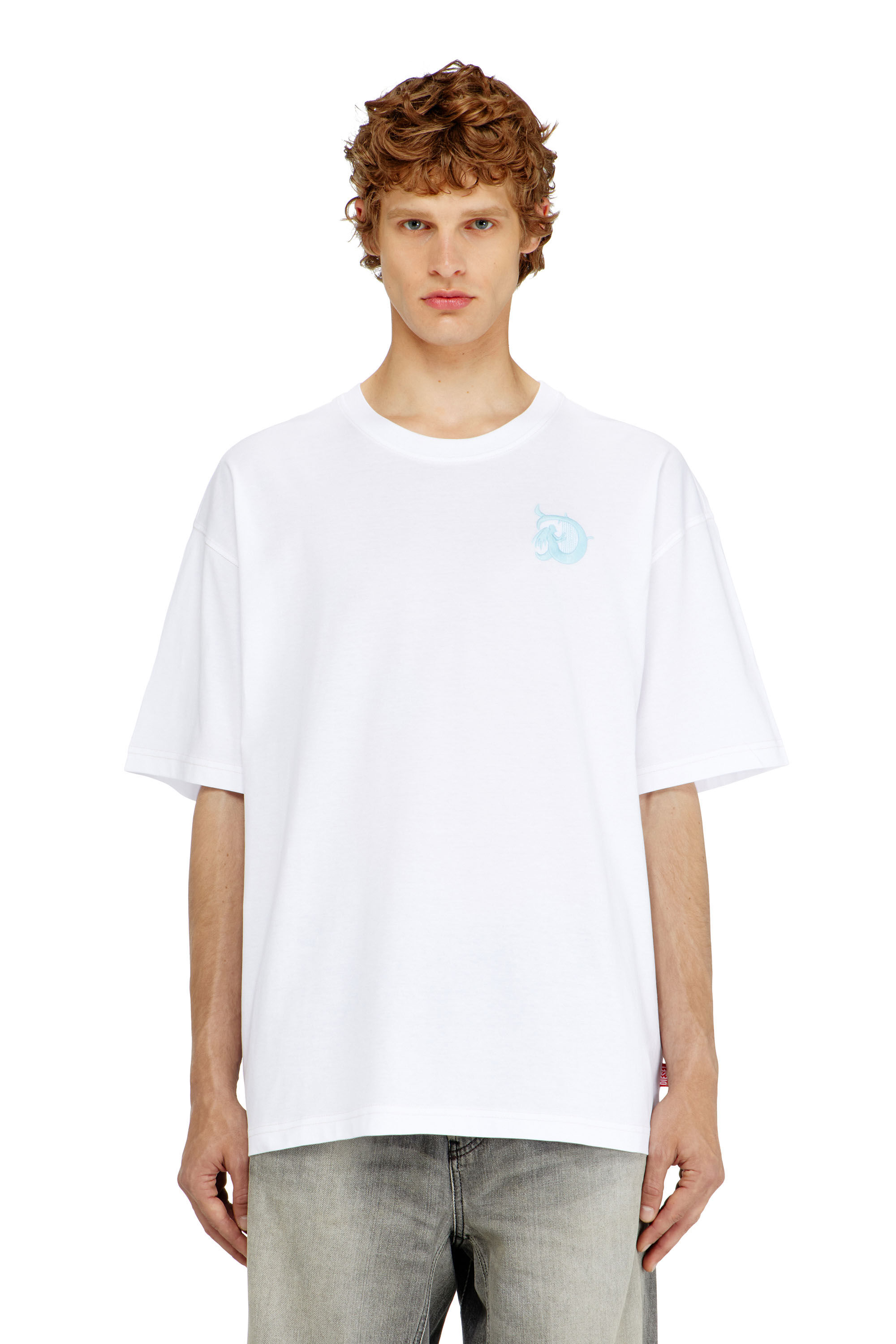 Diesel - T-BOXT-AA11, Male's Tシャツ in null - 2