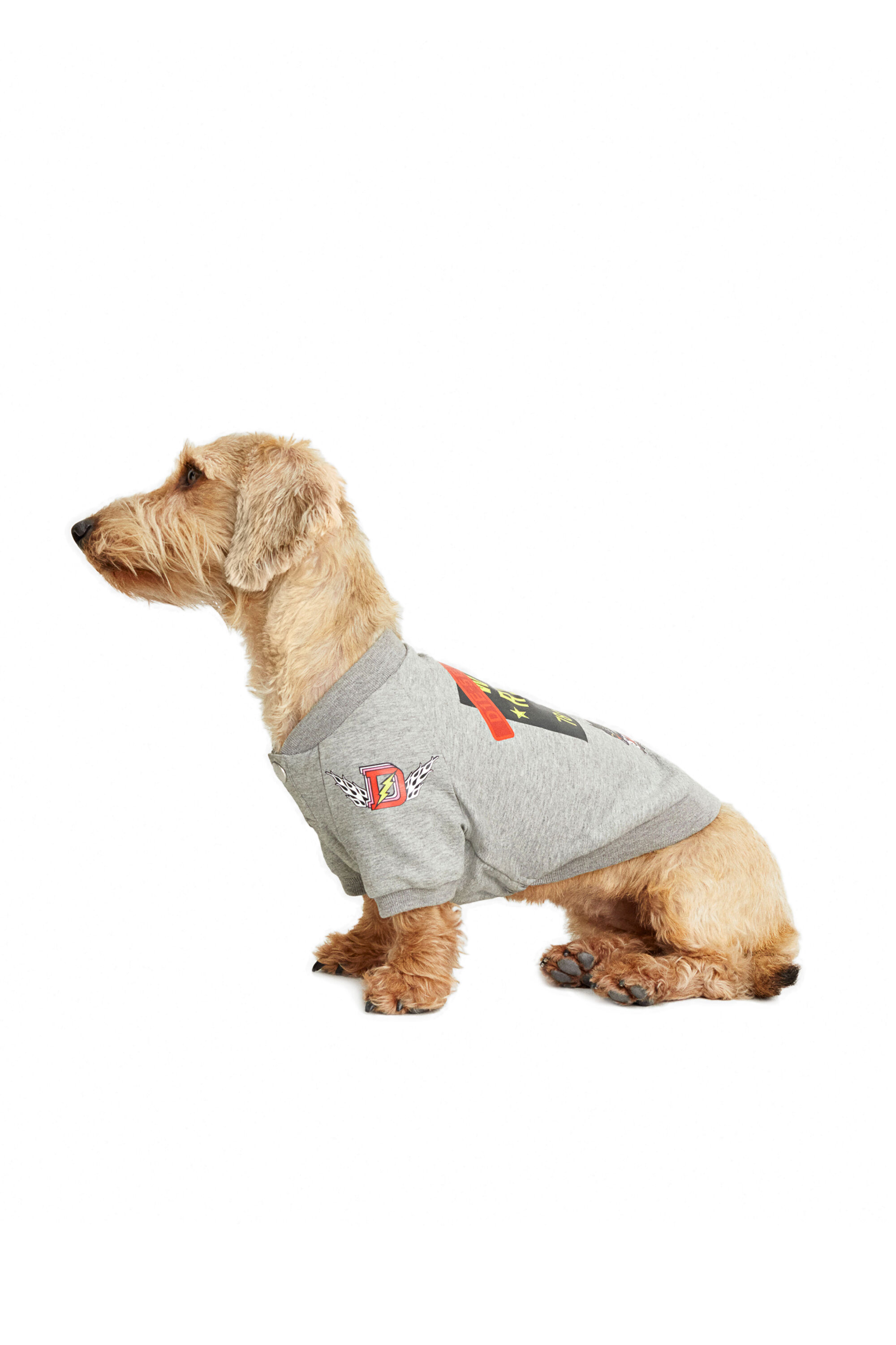 Diesel - PET-WOLF-GRY, グレー - Image 4