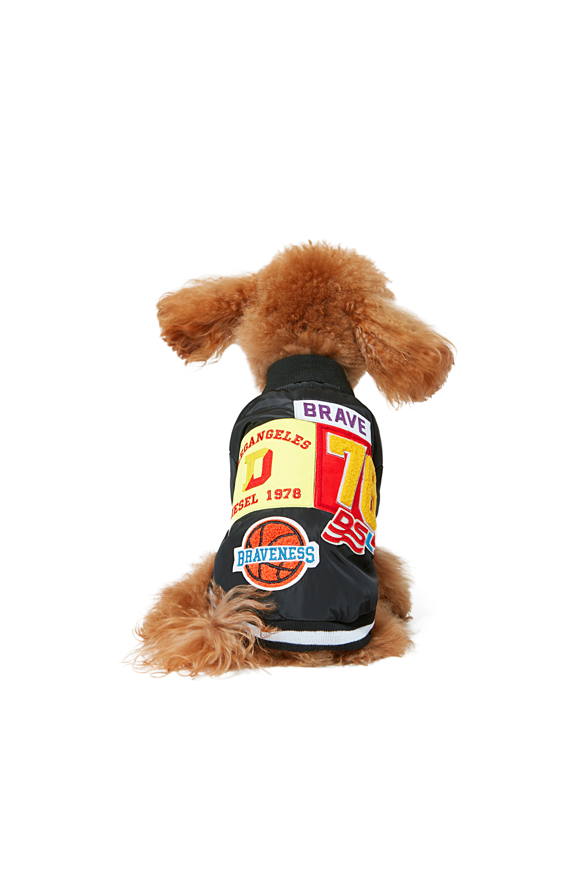Diesel - PET-CHWORK, ブラック - Image 4