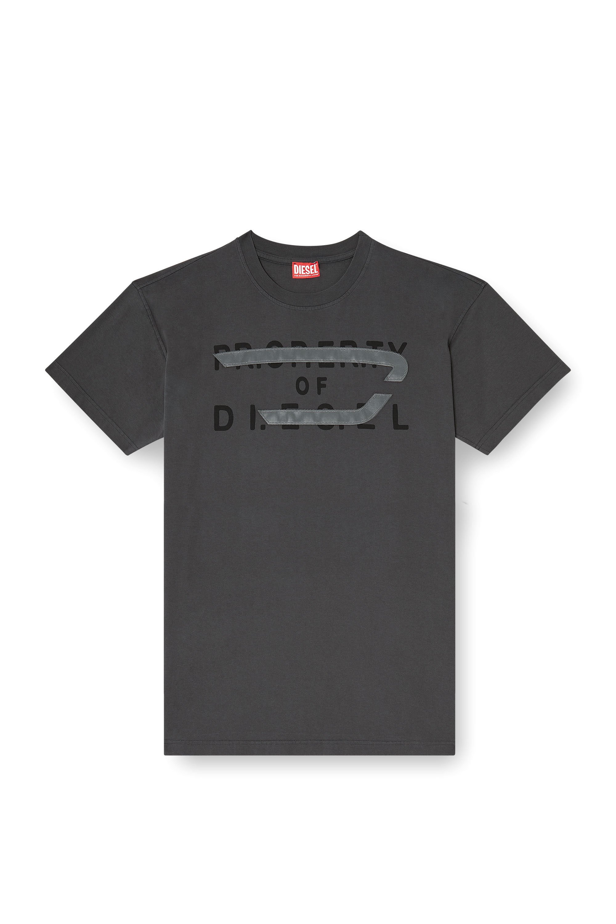 Diesel - T-NORM-V11, Male's Tシャツ in グレー - 2