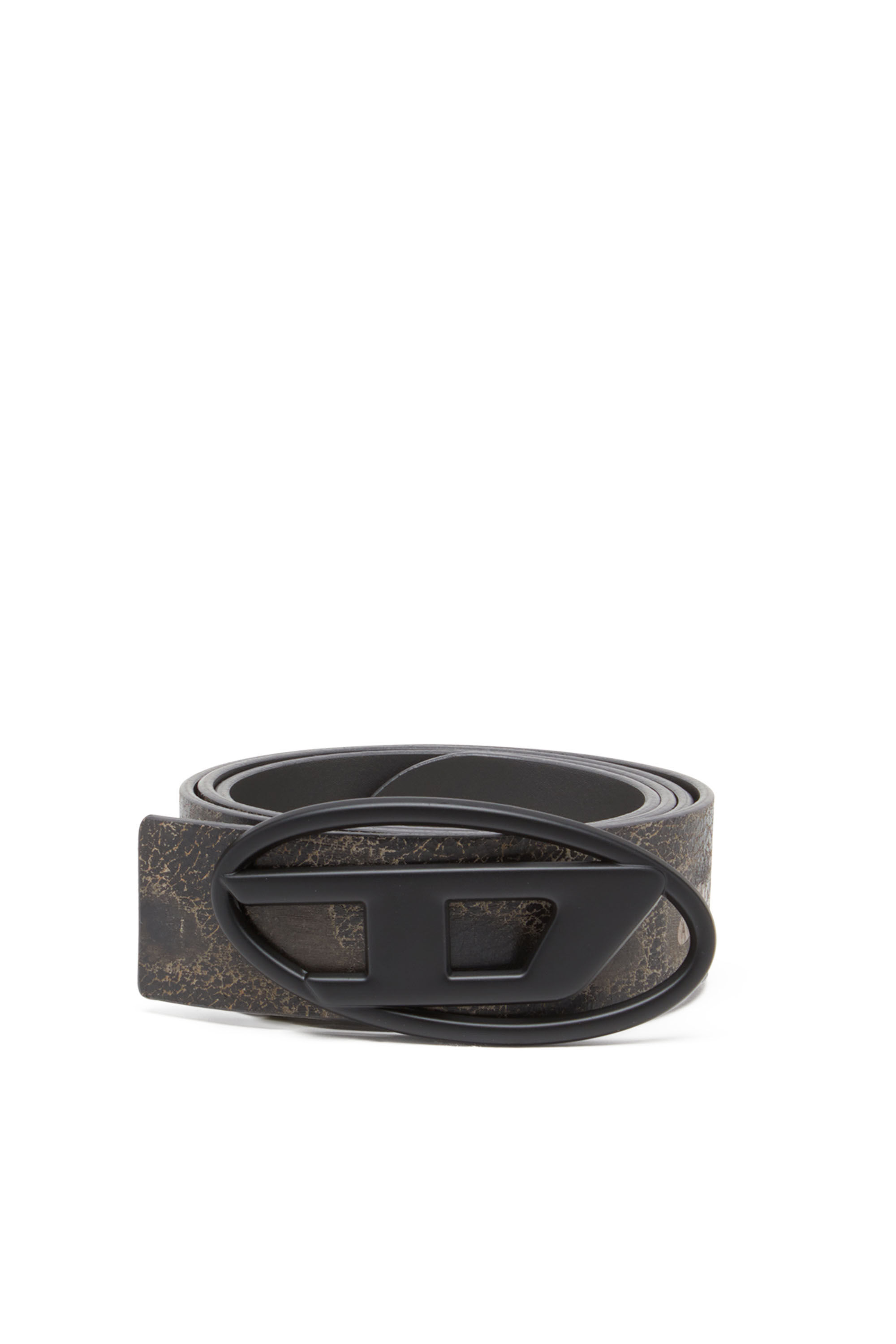 B-1DR REV DD Reversible treated leather belt｜マルチカラー
