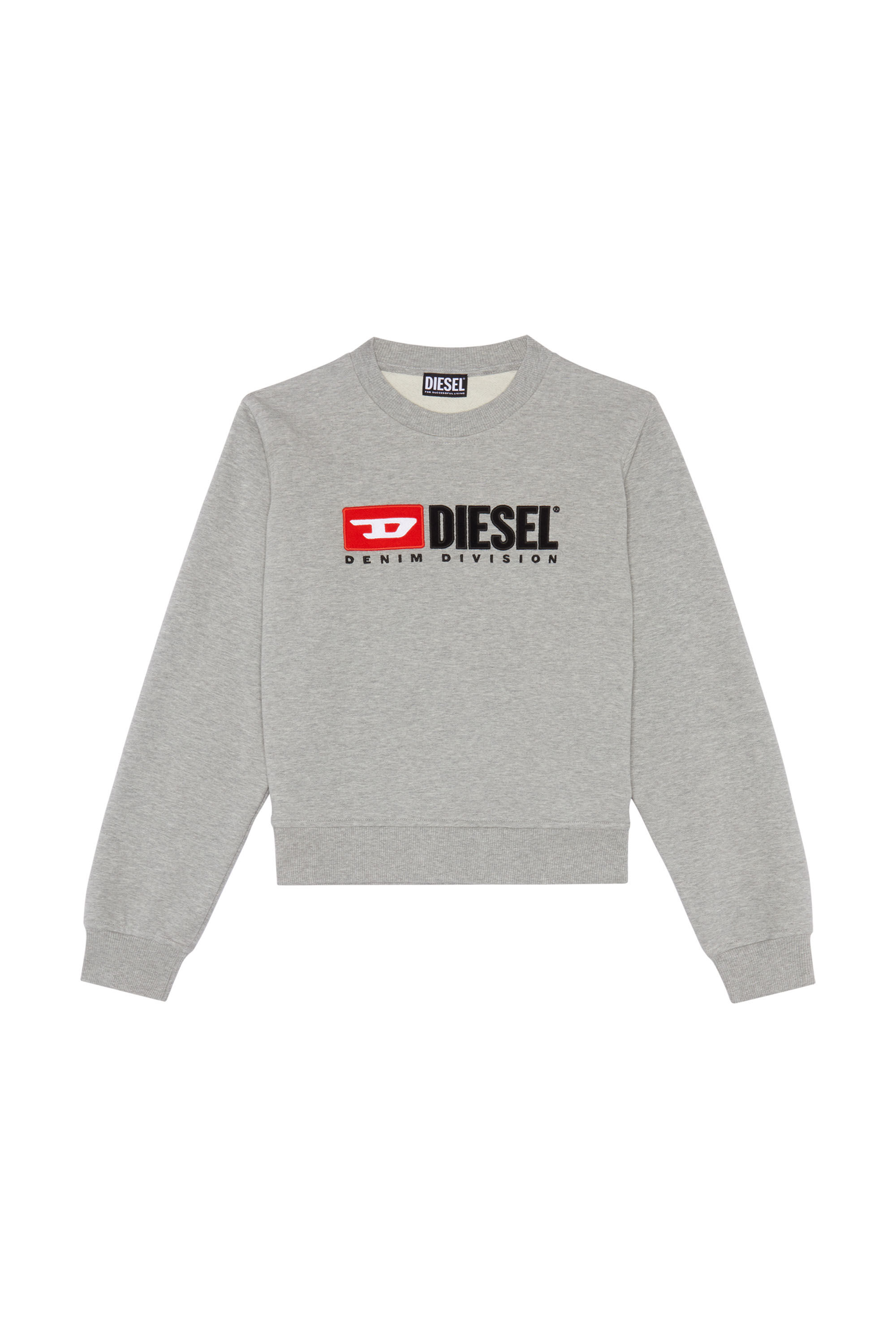 Diesel - F-REGGY-DIV, Female's Denim Division sweatshirt in グレー - 2