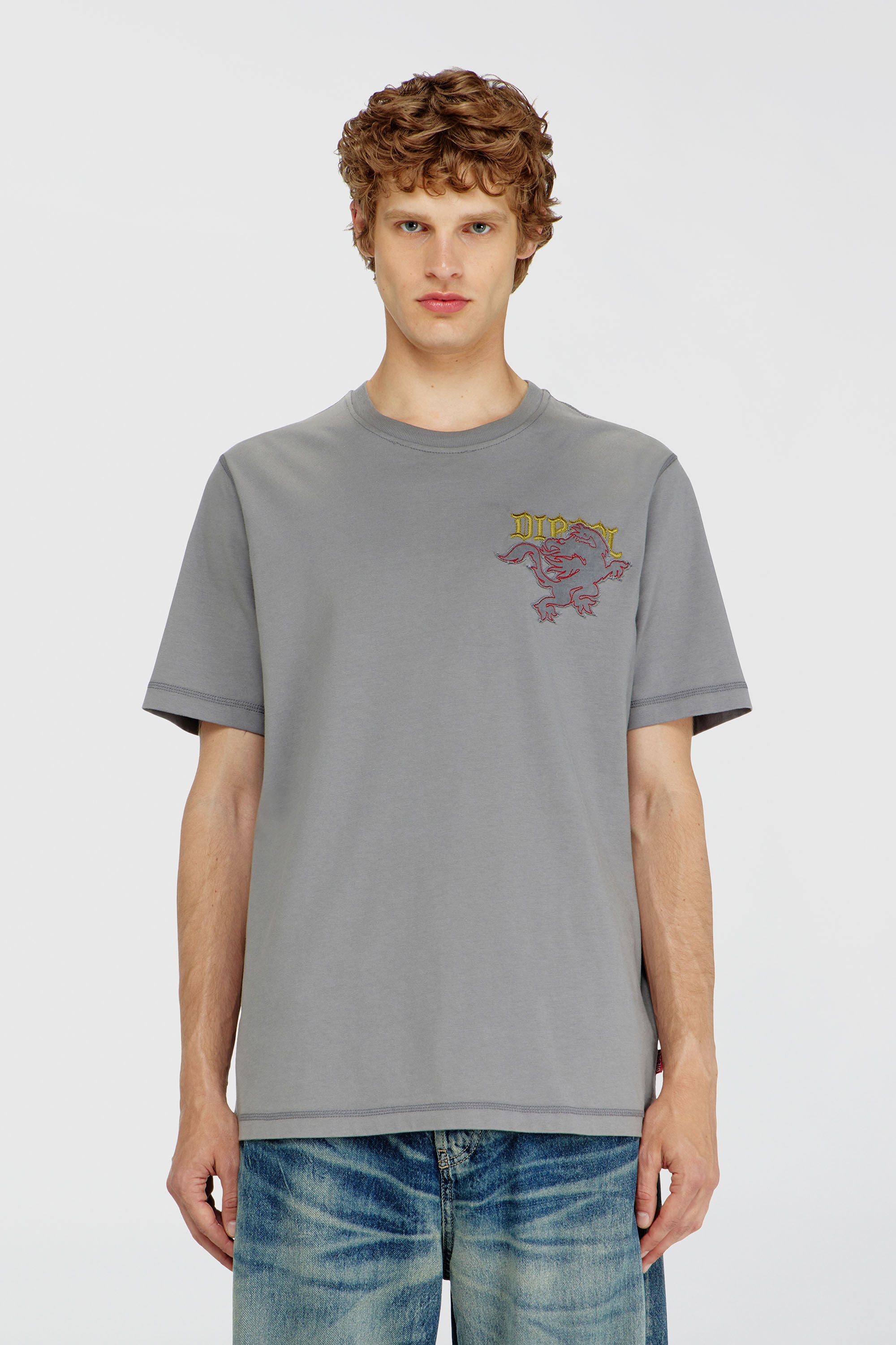 Diesel - T-ADJUST-NOTCH, Male's Tシャツ in グレー - 3