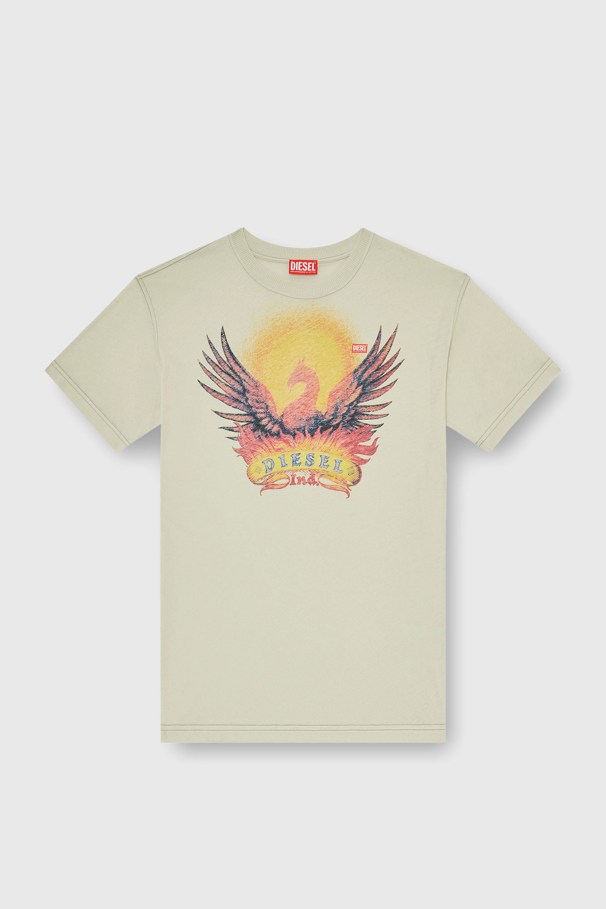 Diesel - T-NORM-AA1, Male's Tシャツ in ベージュ - 2