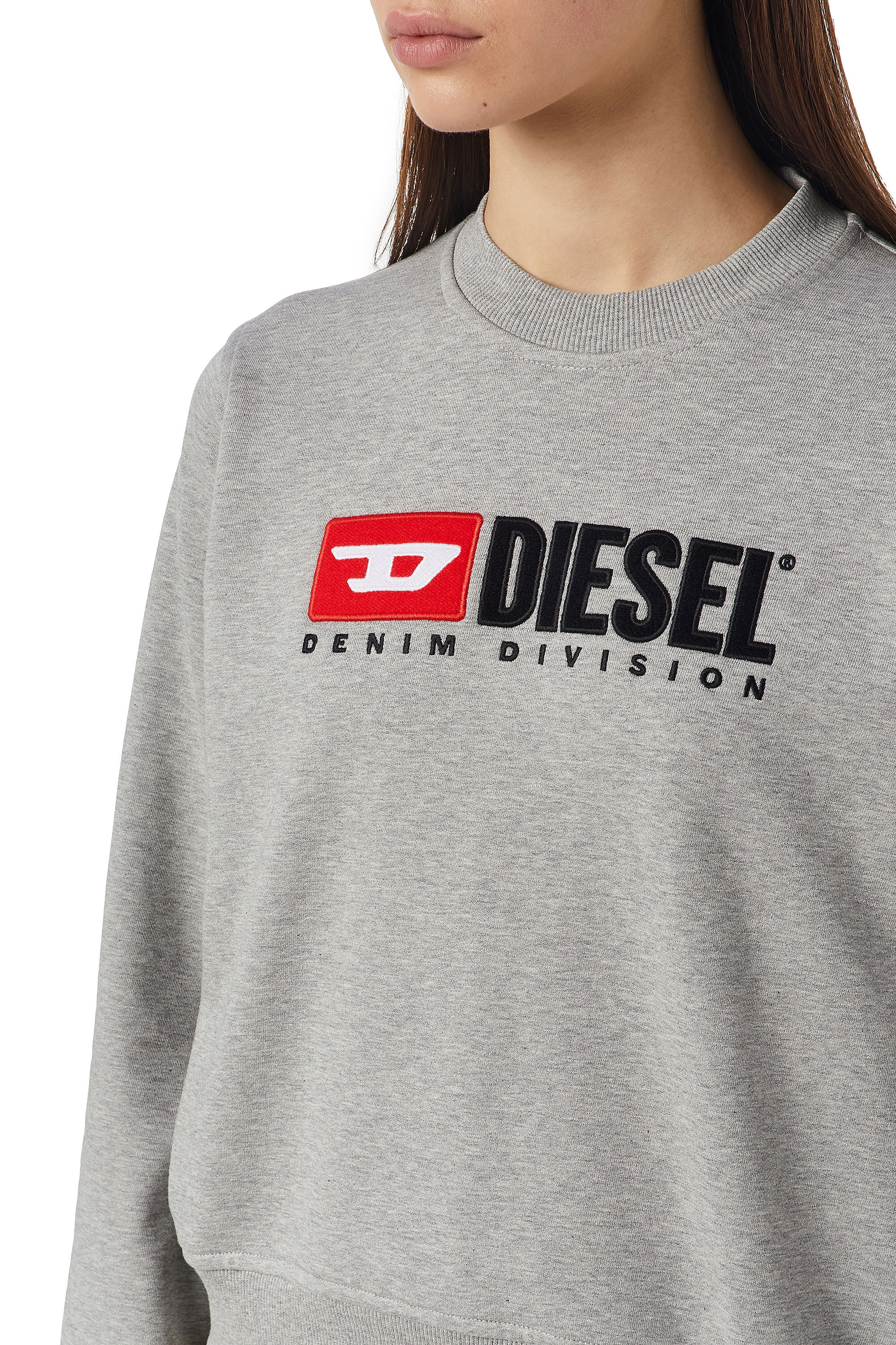 Diesel - F-REGGY-DIV, Female's Denim Division sweatshirt in グレー - 4