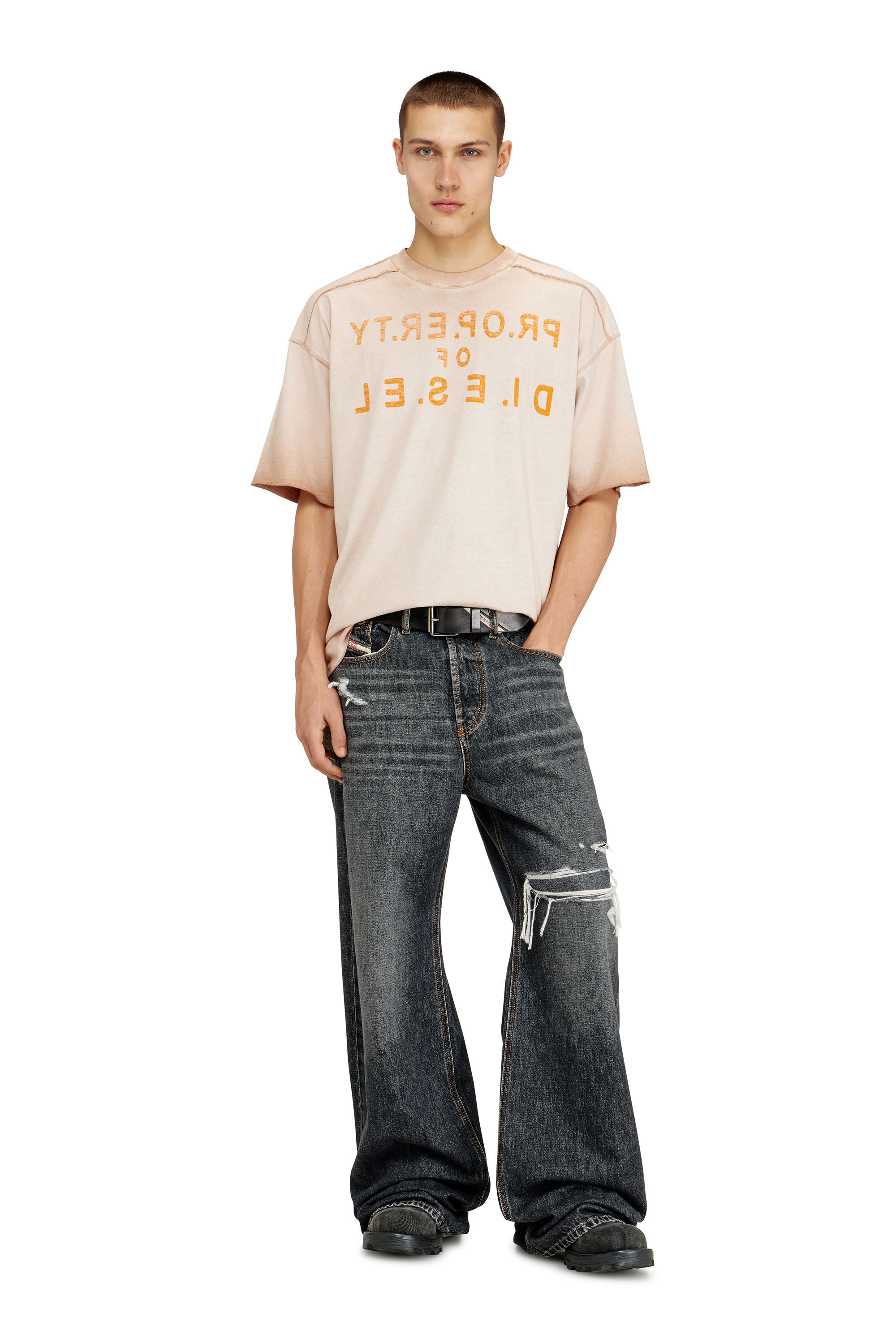 Diesel - T-LOOK, Male's Tシャツ in ベージュ - 1