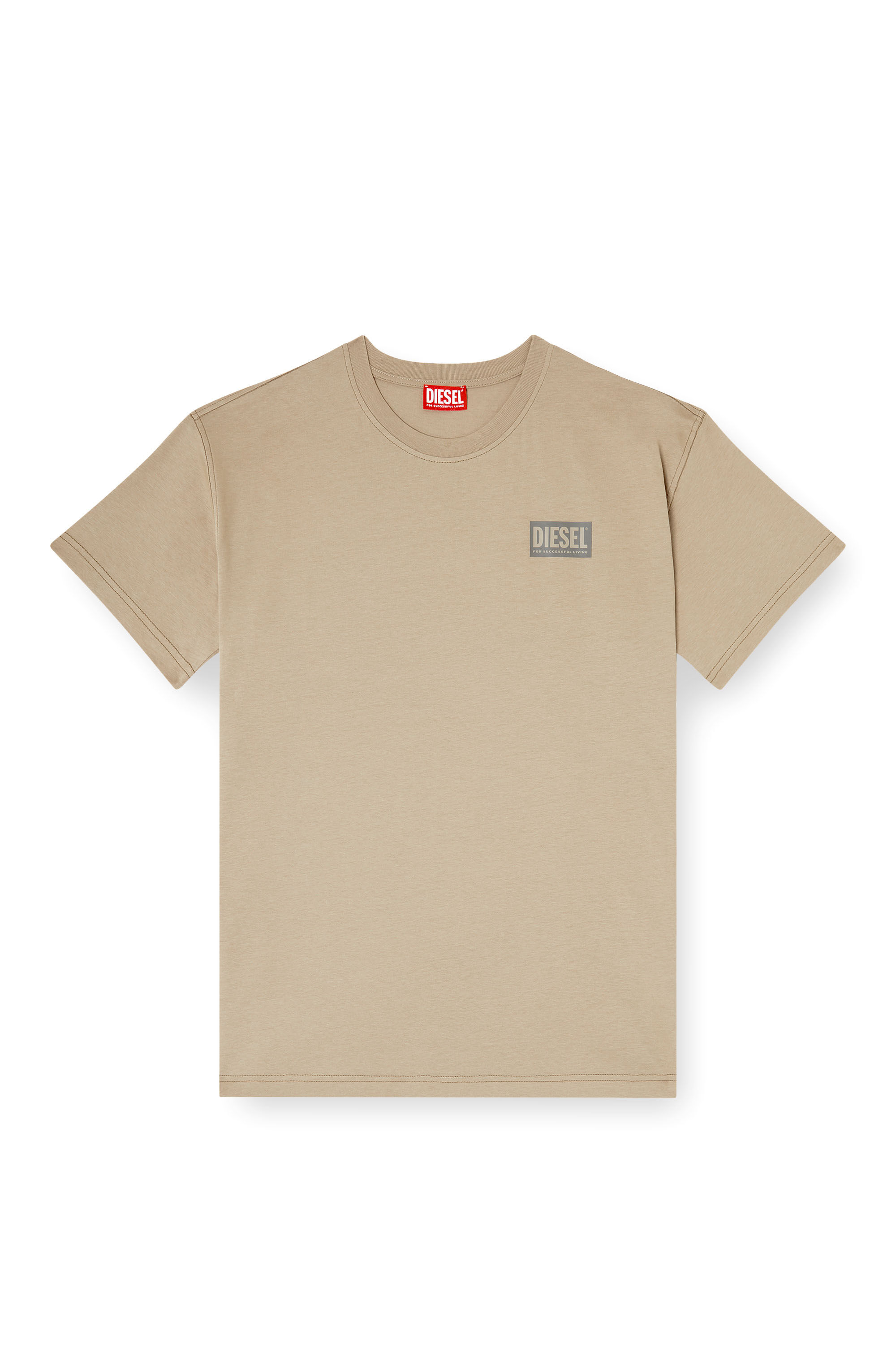 Diesel - T-NORM-V13, Male's T-shirt with plastisol print in ベージュ - 2