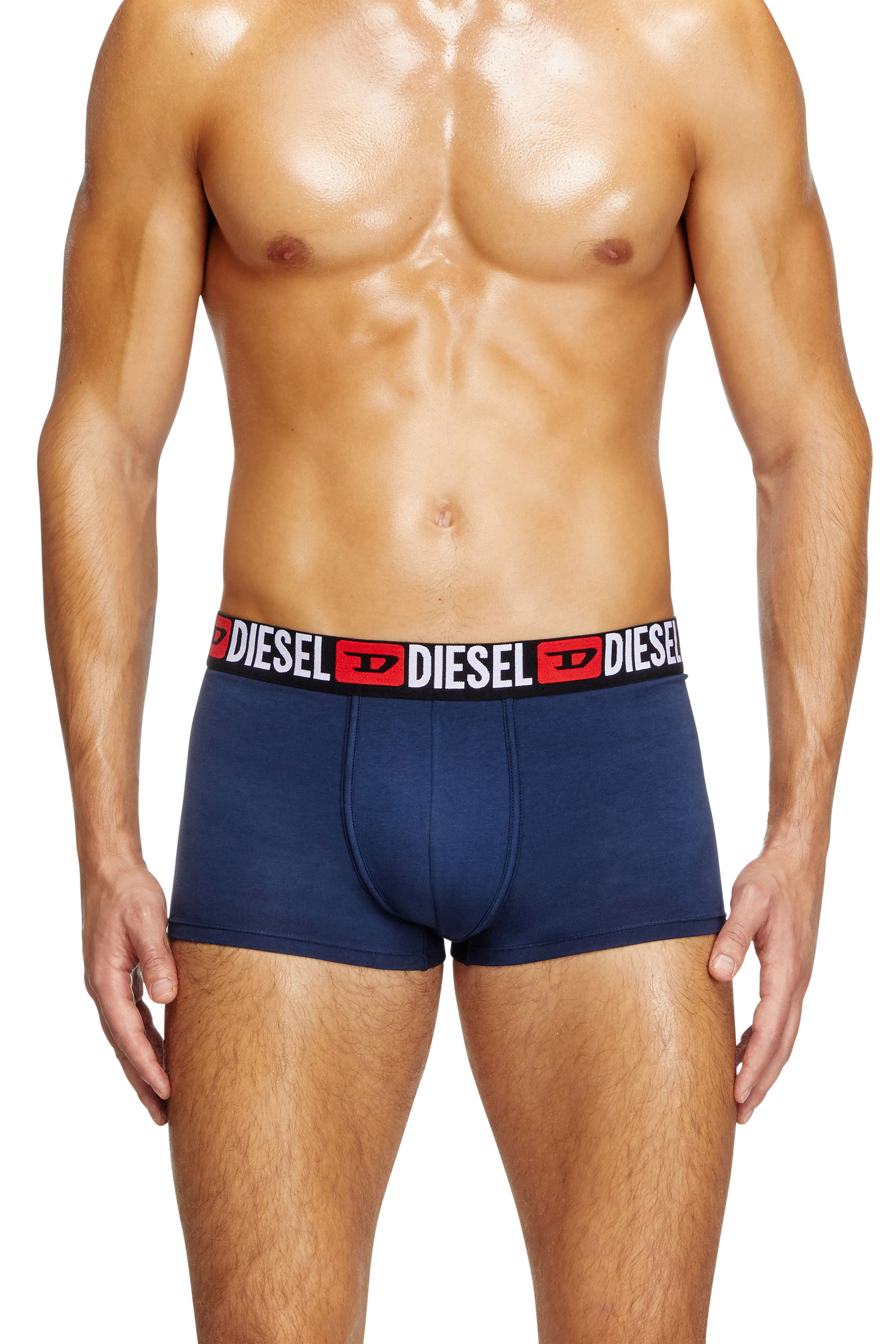 Diesel - DAMIEN, Male's Stretch cotton boxer briefs in ブルー - 3