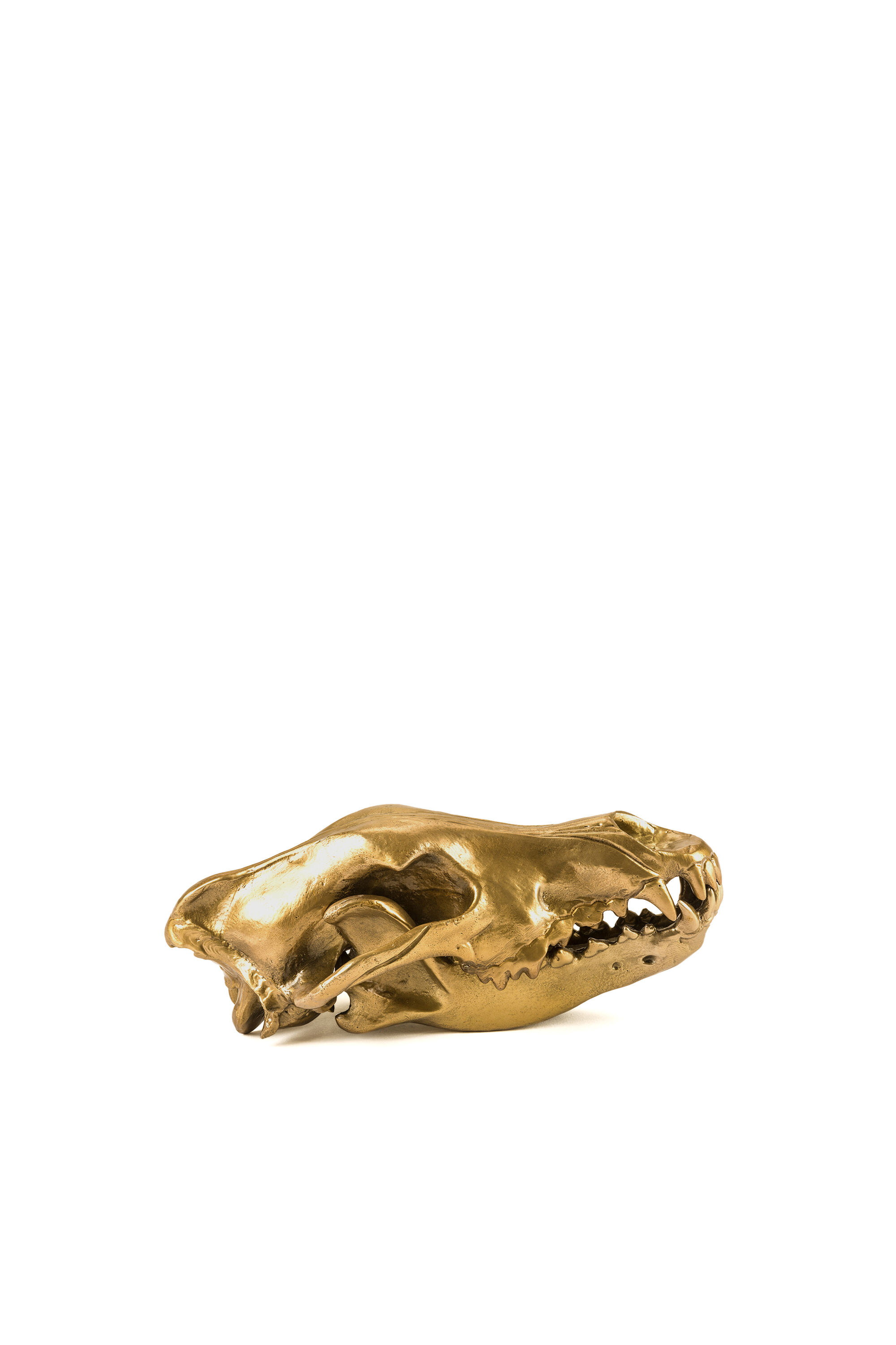 Diesel - 10892 Wunderkammer, Unisex's "Wolf This Way" Wunderkammer Wolf Skull in ゴールド - 2