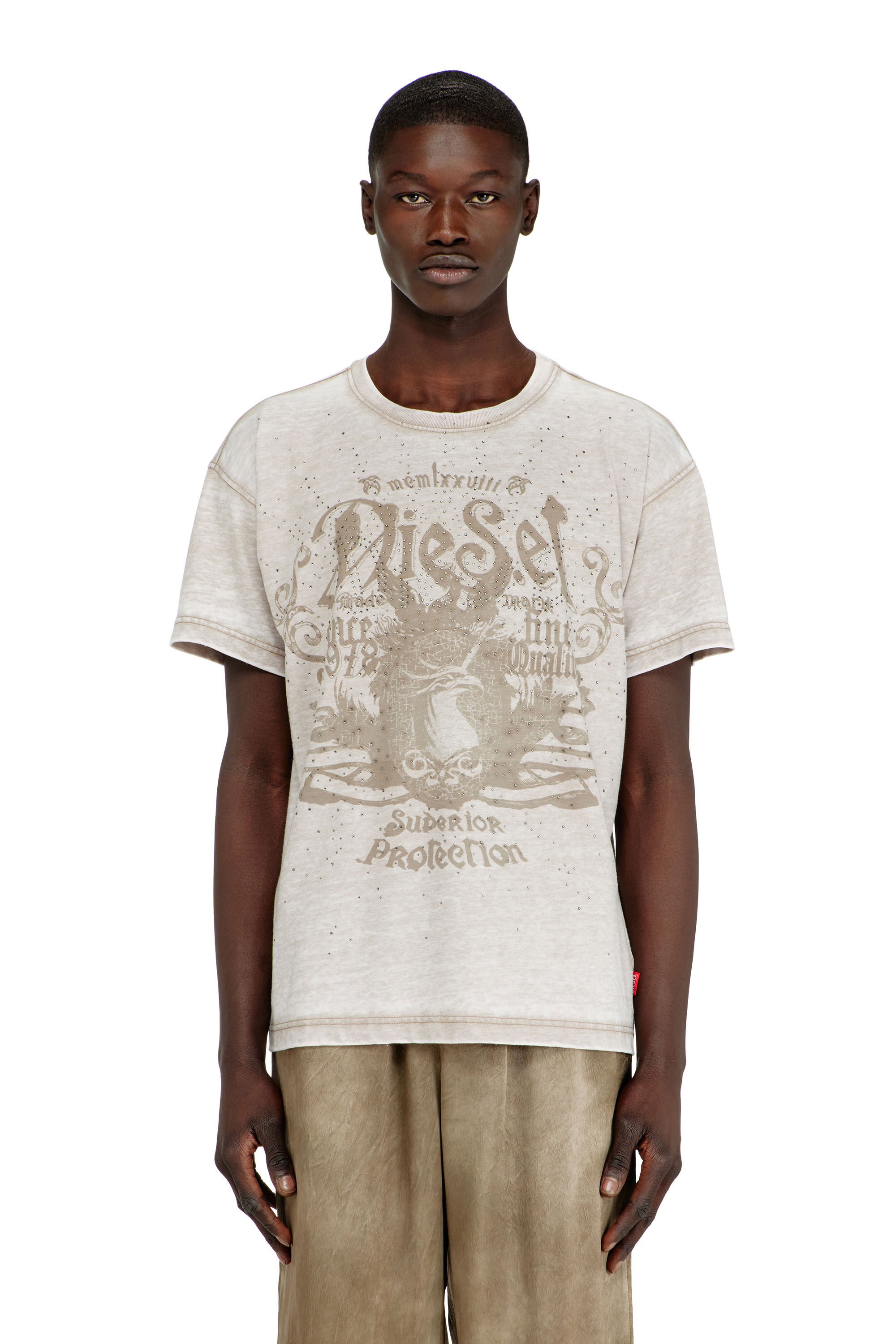 Diesel - T-NORM-AA8, Male's Tシャツ in ベージュ - 3