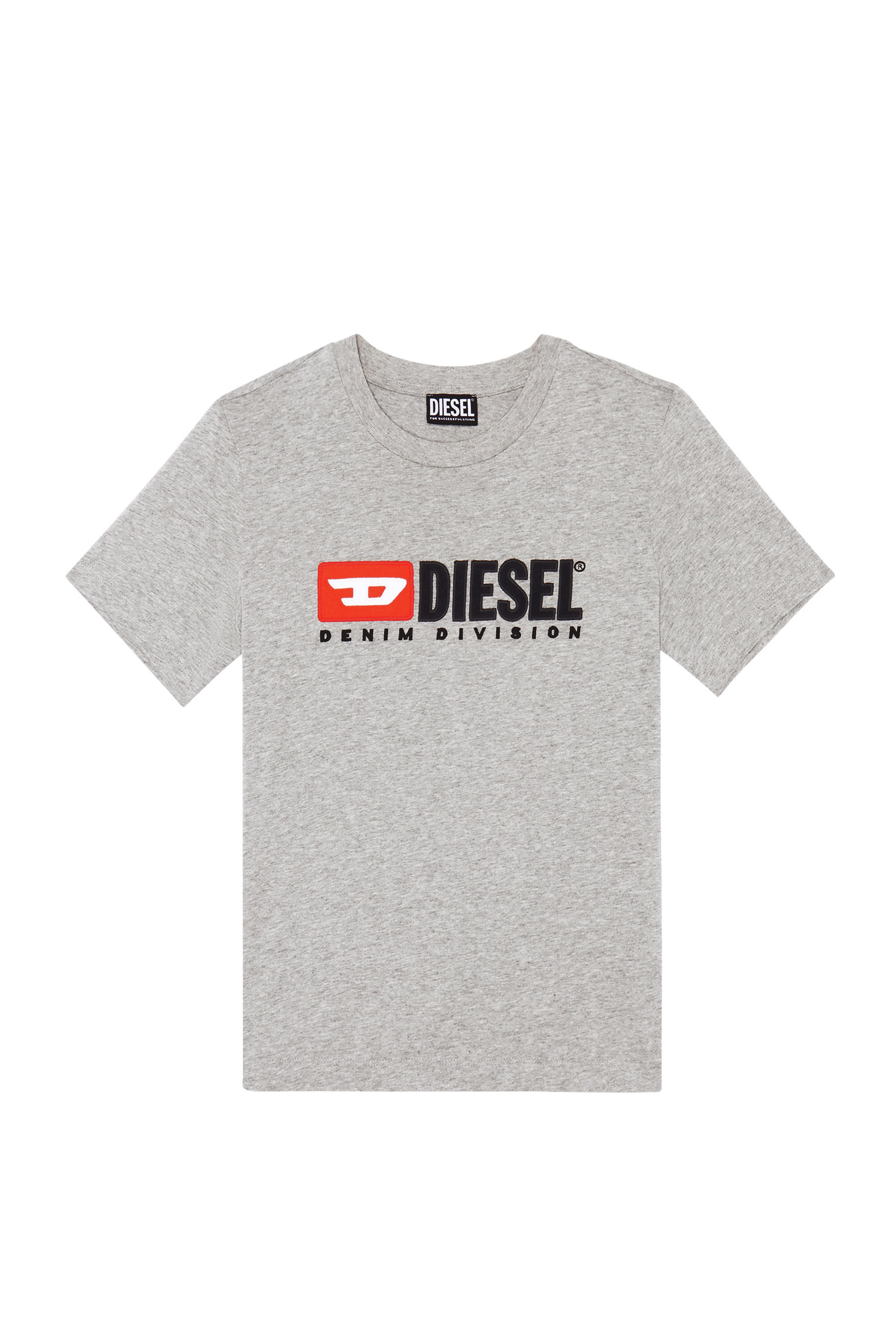 Diesel - T-REG-DIV, Female's 半袖 Tシャツ in ライトグレー - 2