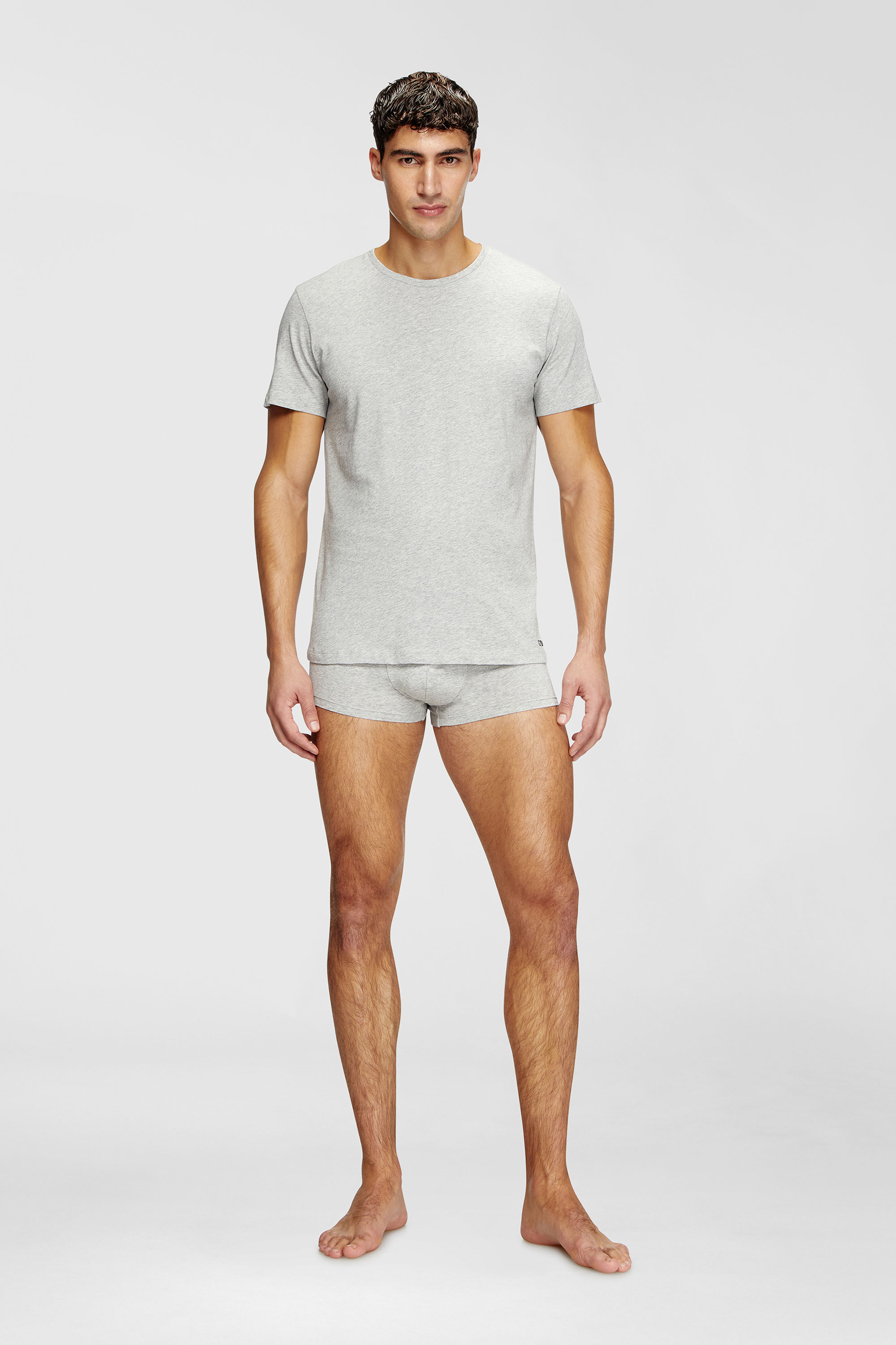 Diesel - RANDAL-D-BOX-3PACK, Male's Tシャツ3枚パック in グレー/ブラック - 1