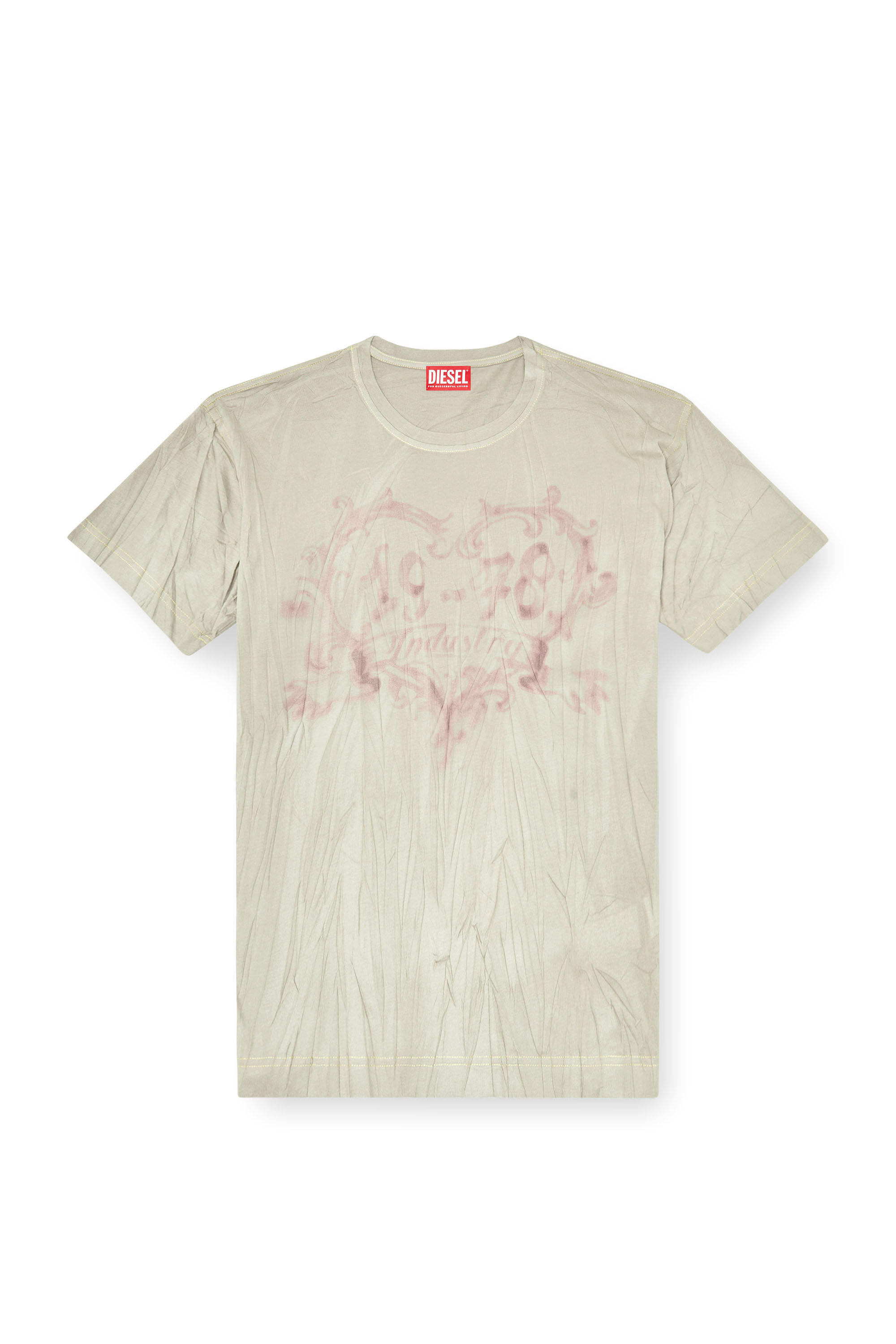 Diesel - T-NORMY-AA4, Female's Tシャツ in ベージュ/ピンク - 2
