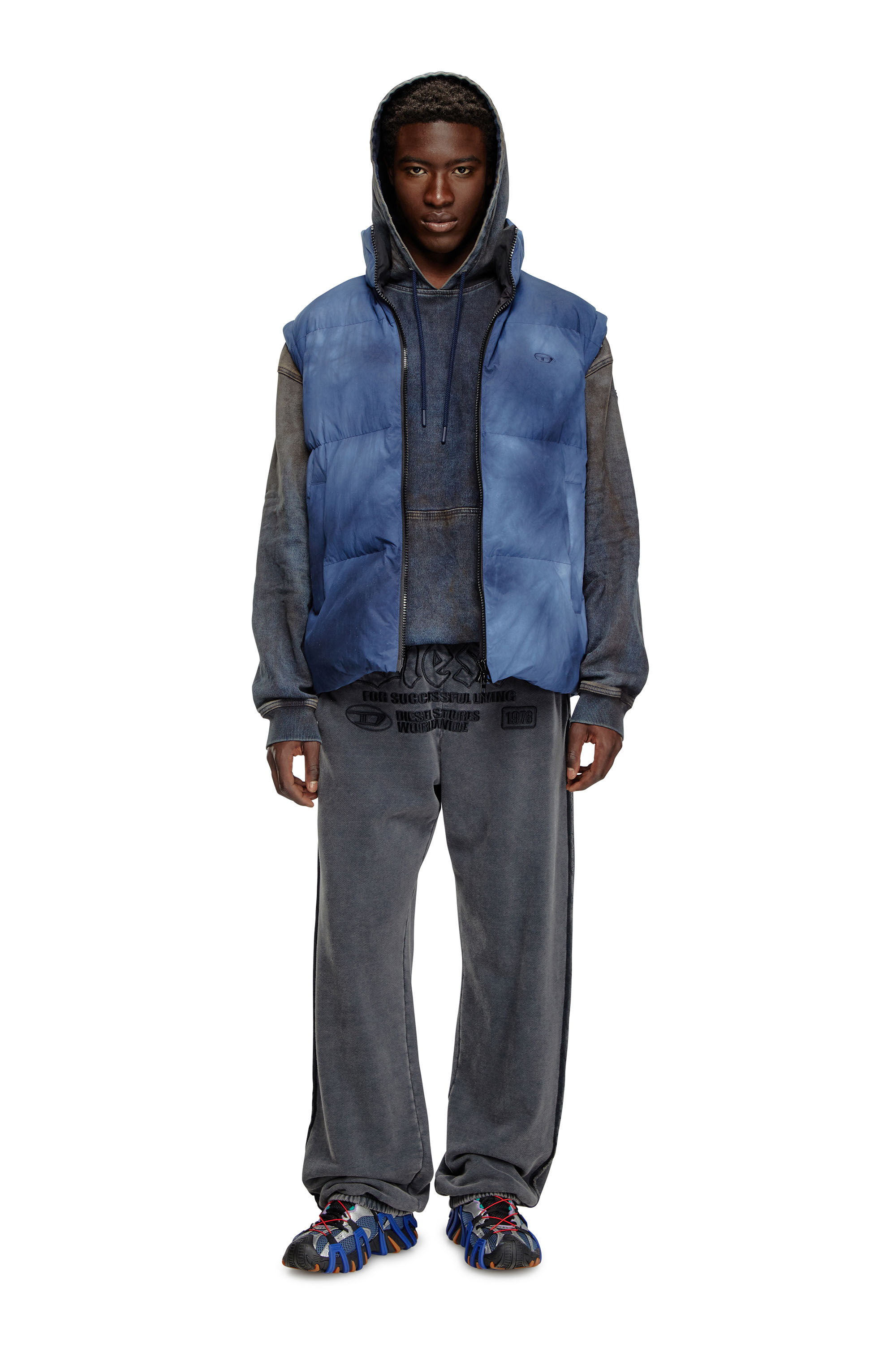 W-RAVEEL-SL Down vest with cloudy effect｜ブルー｜メンズ｜DIESEL