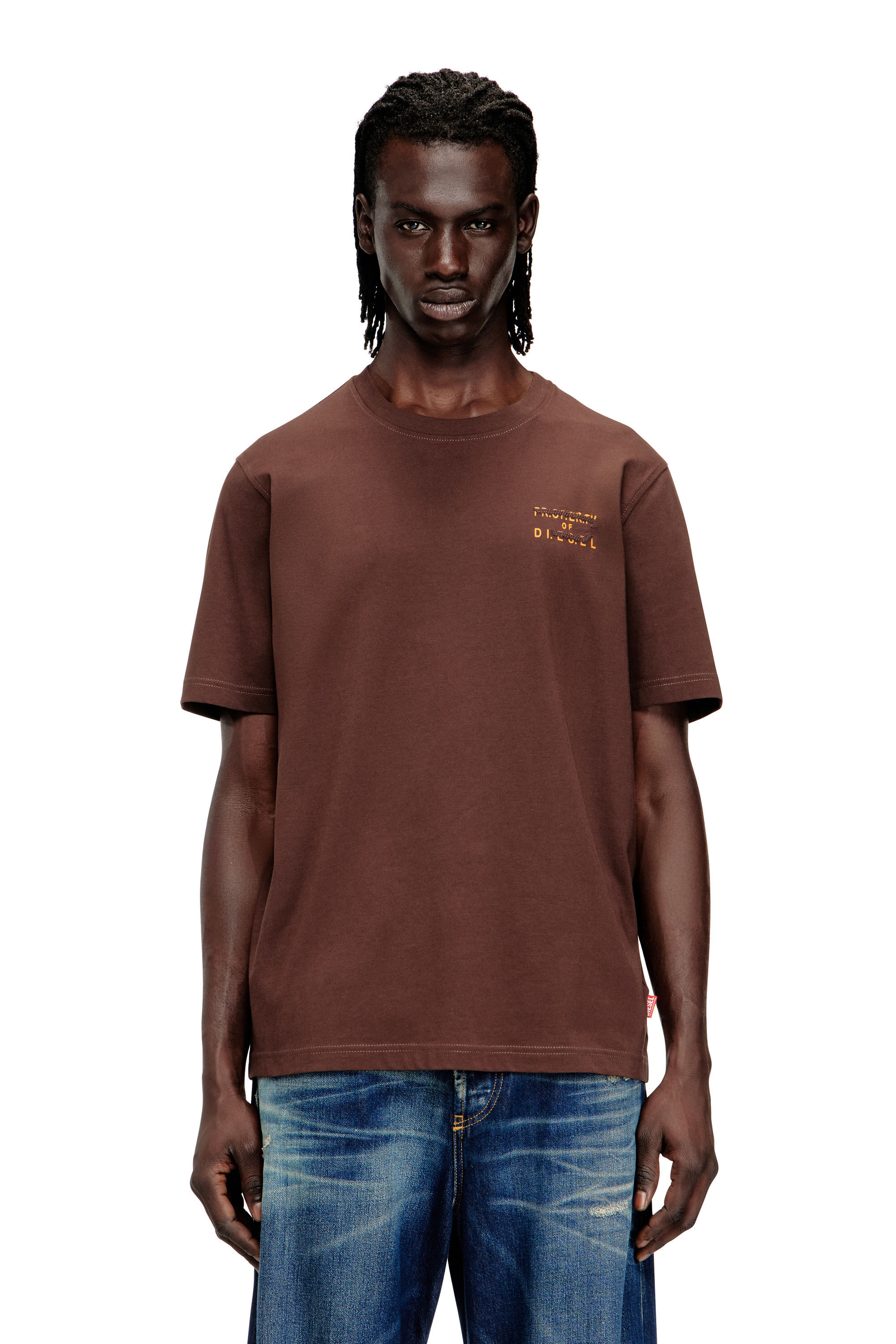 Diesel - T-ADJUST-V5, Male's Tシャツ in ブラウン - 3