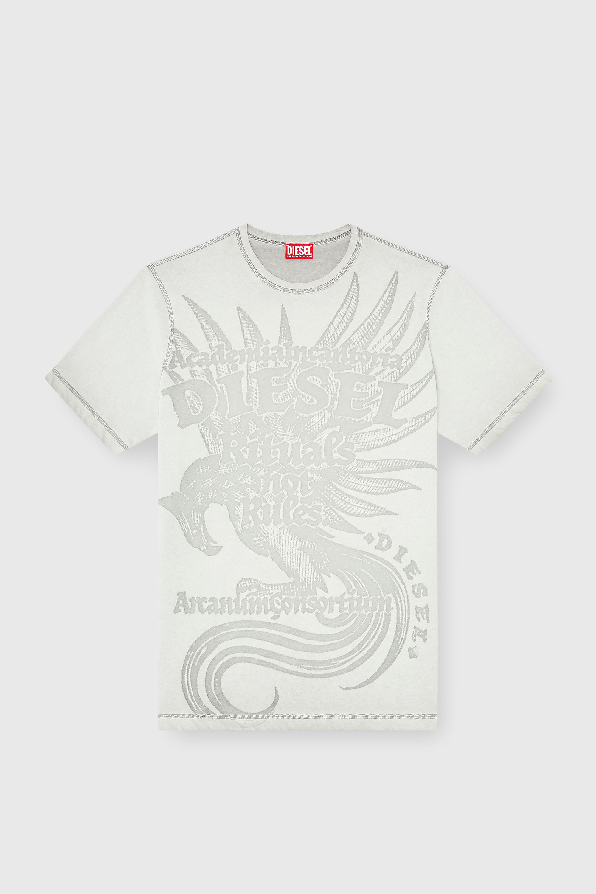 Diesel - T-RAWJUST-AA1, Male's Tシャツ in ライトグレー - 2