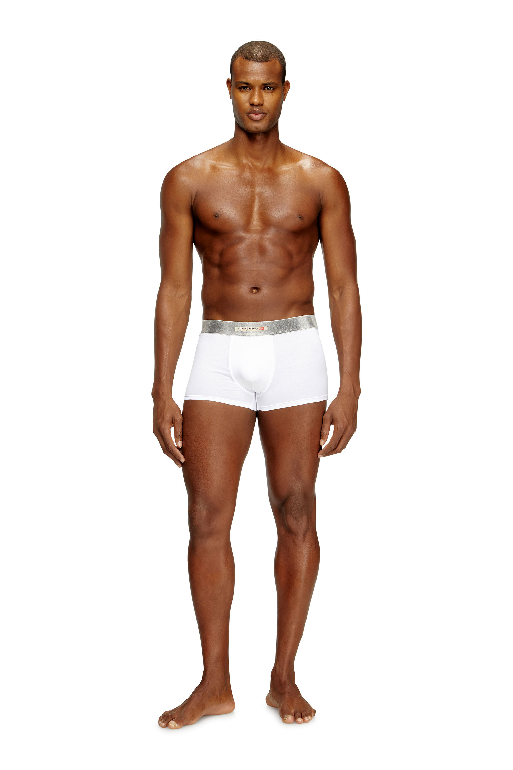 DAMIEN-DNM-3PACK ボクサーパンツ 3枚パック｜ホワイト｜メンズ｜DIESEL