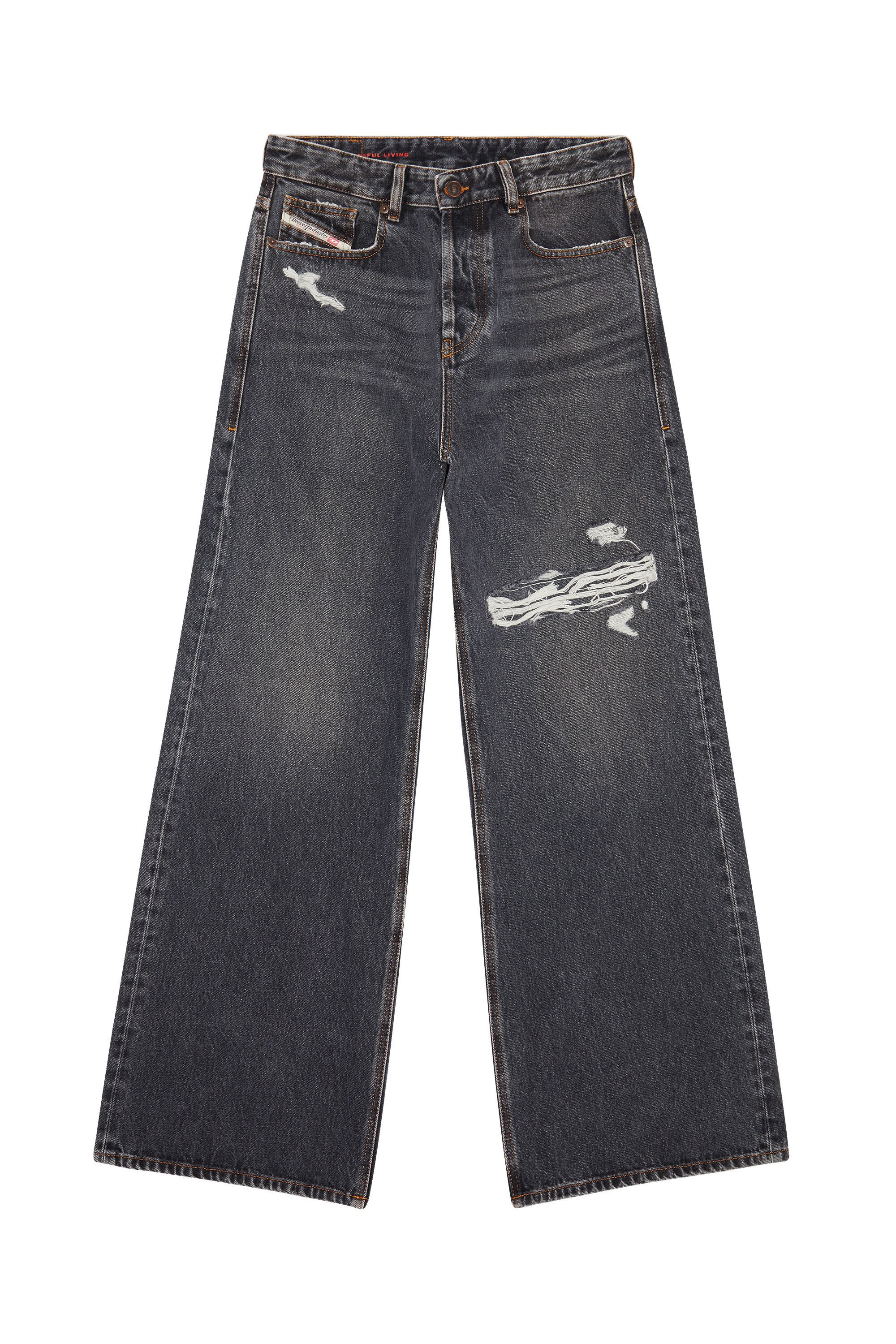 Diesel - Straight Jeans 1996 D-Sire 007F6, ブラック/ダークグレー - Image 2