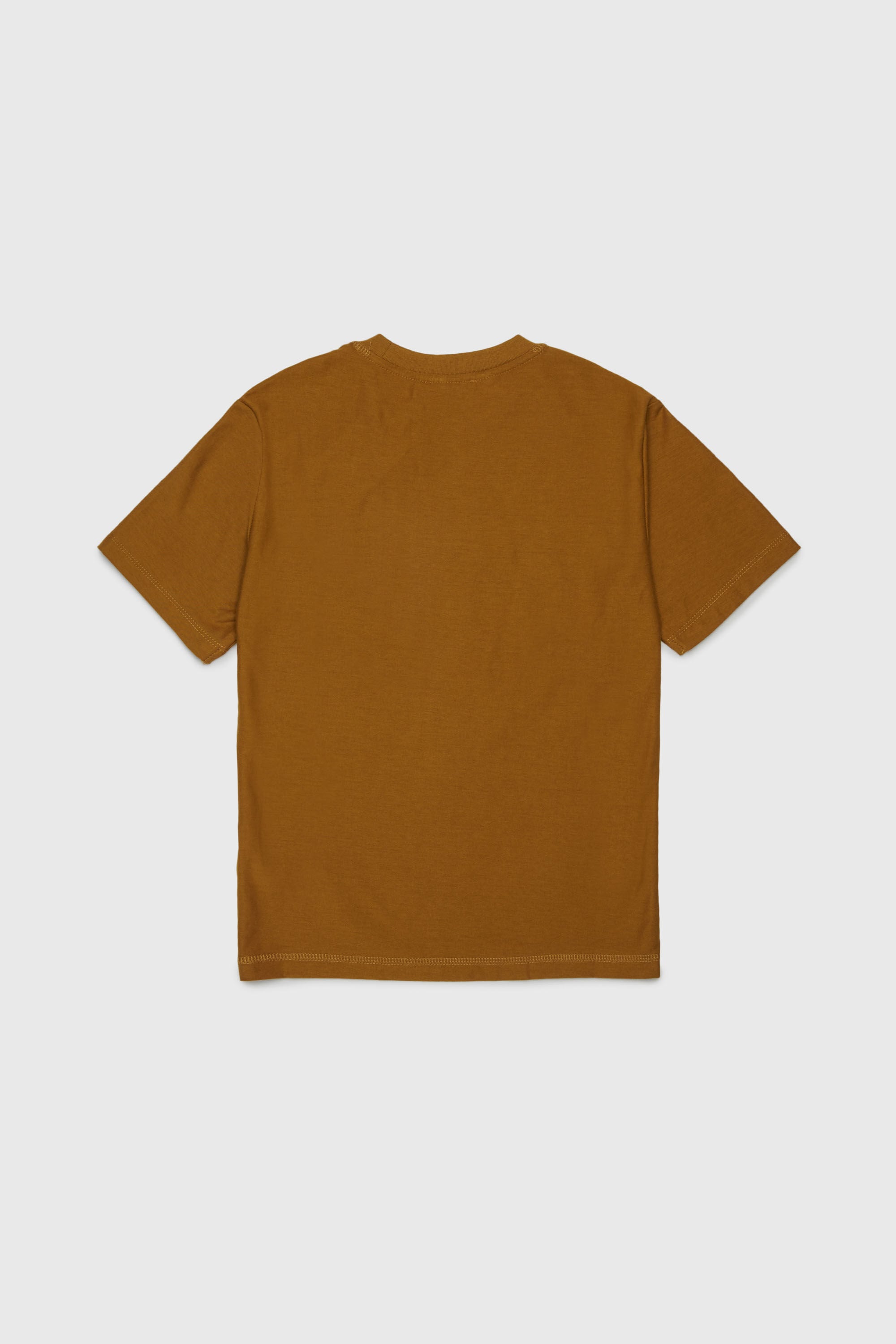 Diesel - TFRIT OVER, Male's Tシャツ in ブラウン - 2