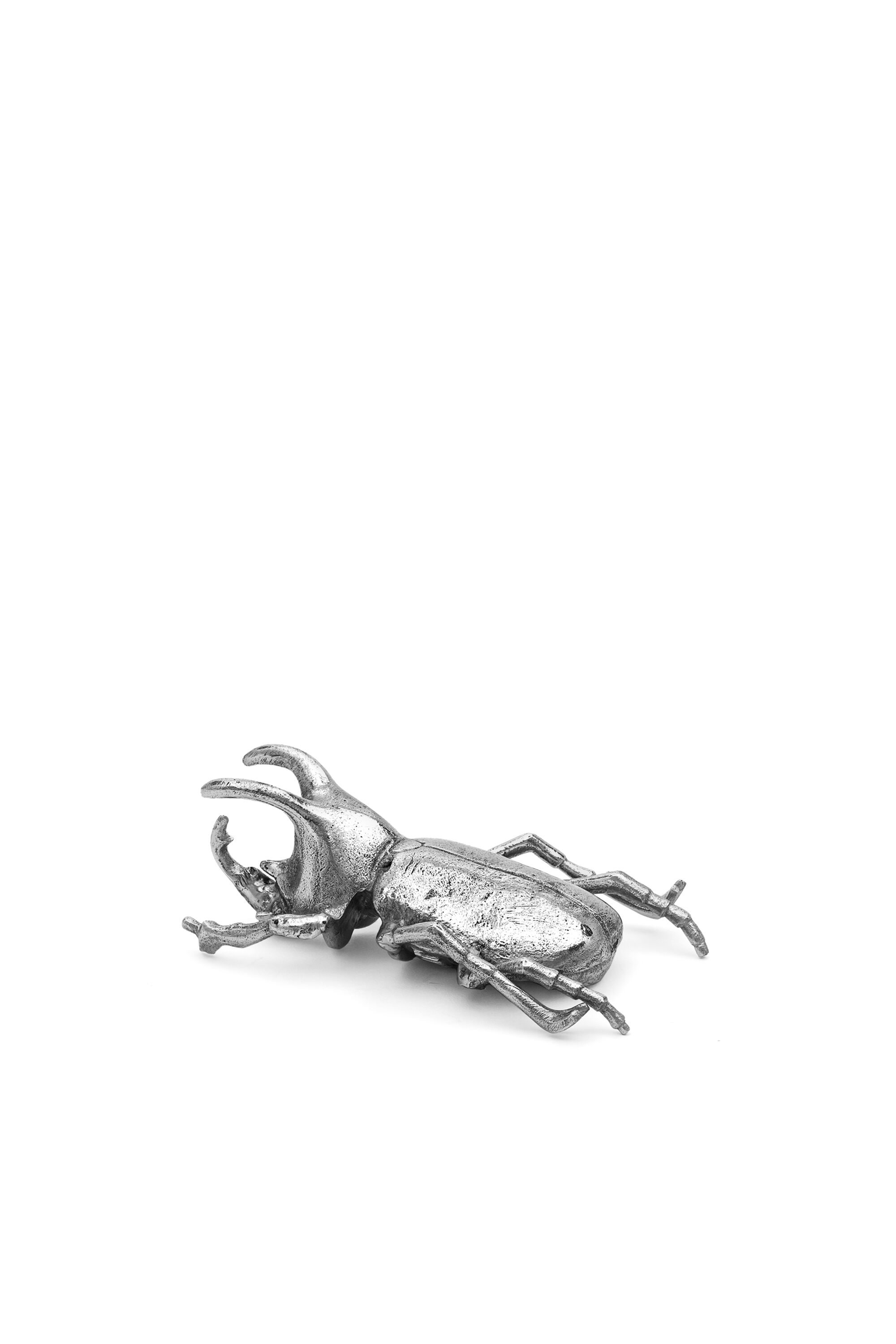 10887 WUNDERKAMMER, 