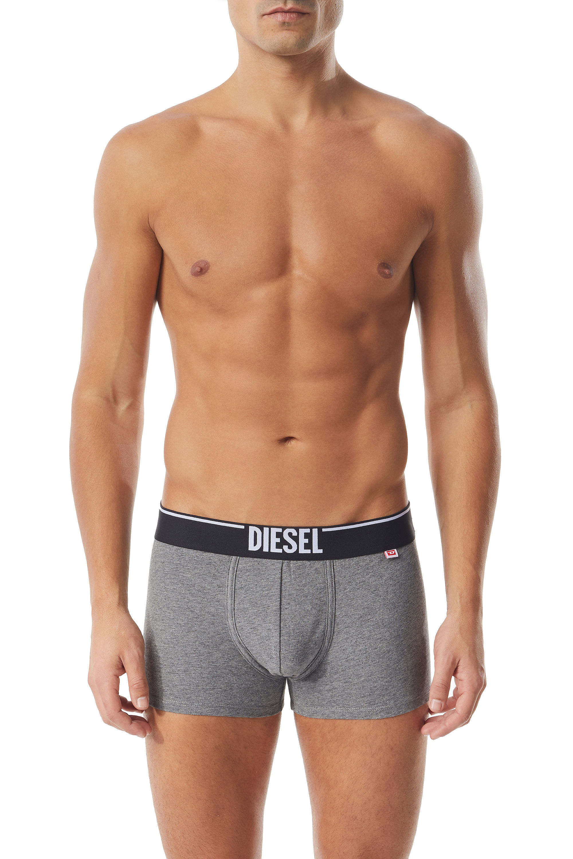 Diesel - UMBX-DAMIENTWOPACK, Male's ボクサーパンツ 2枚セット in ブラック/グレー - 2