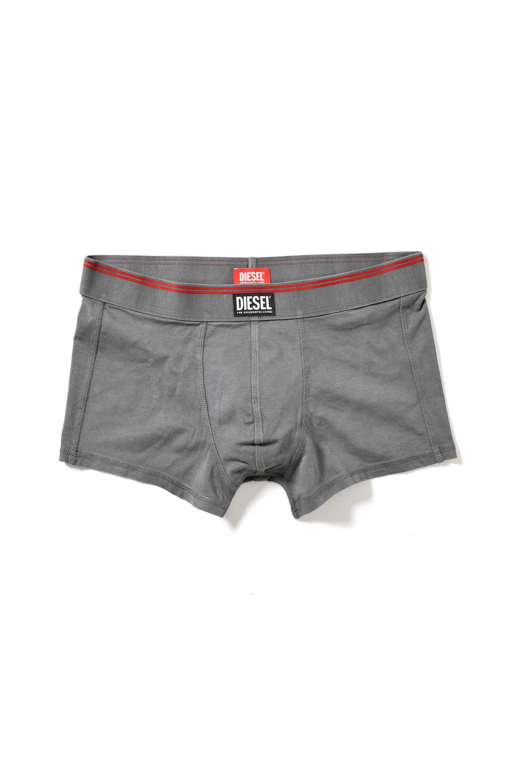 Diesel - BOXER UNDERWEAR, Male's BOXER UNDERWEAR in グレー - 1