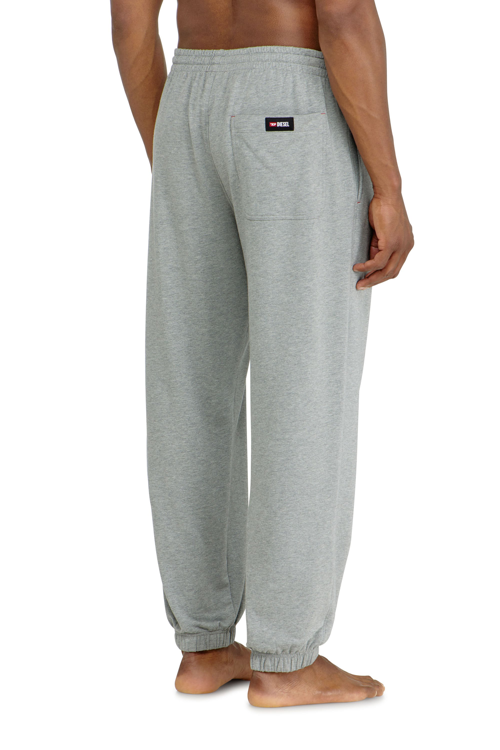 Diesel - LENNY-D-CORE, Male's ロングパンツ in グレー - 3