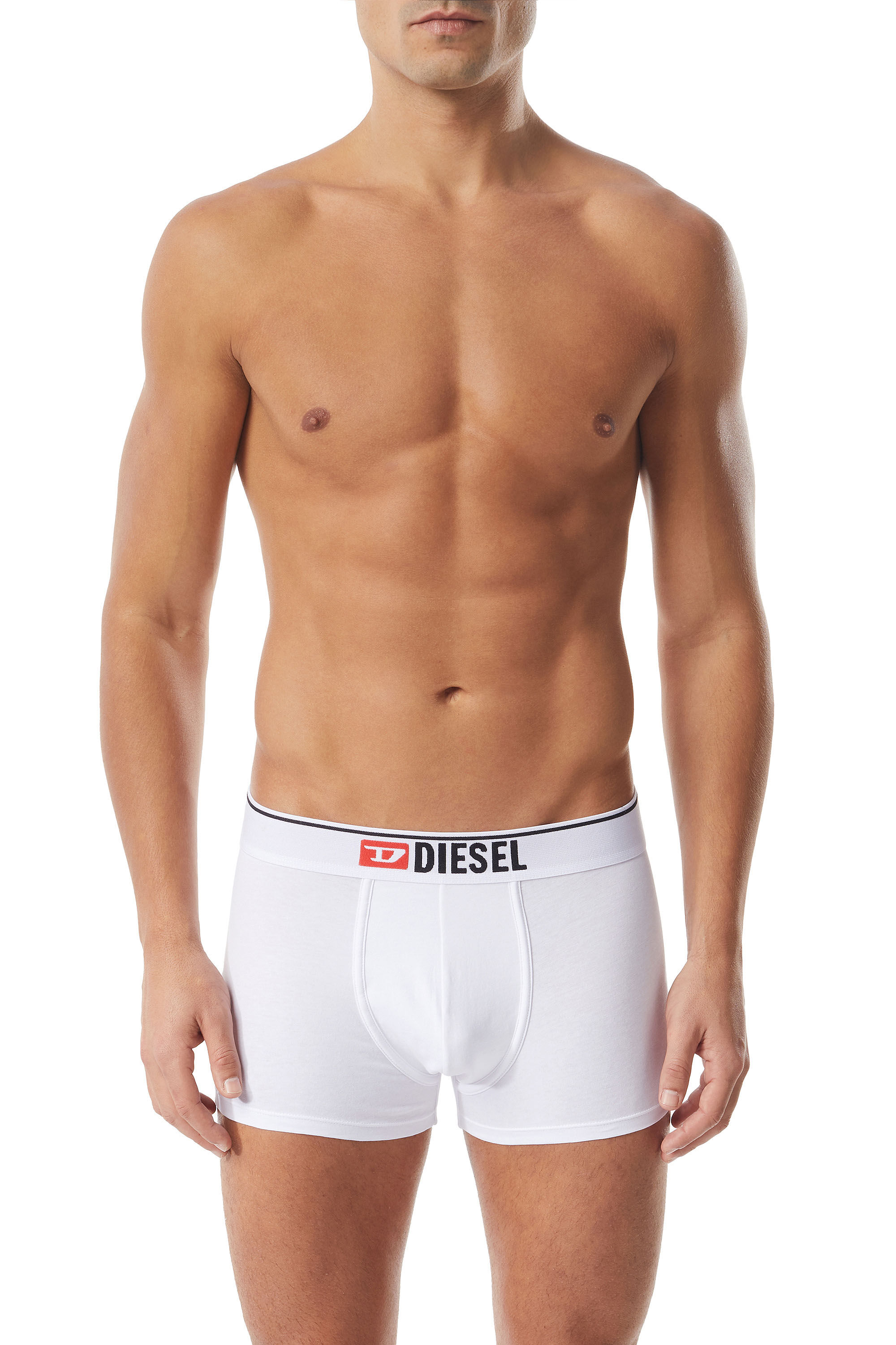 Diesel - UMBX-DAMIEN, Male's ボクサーパンツ ロゴ in ホワイト - 2