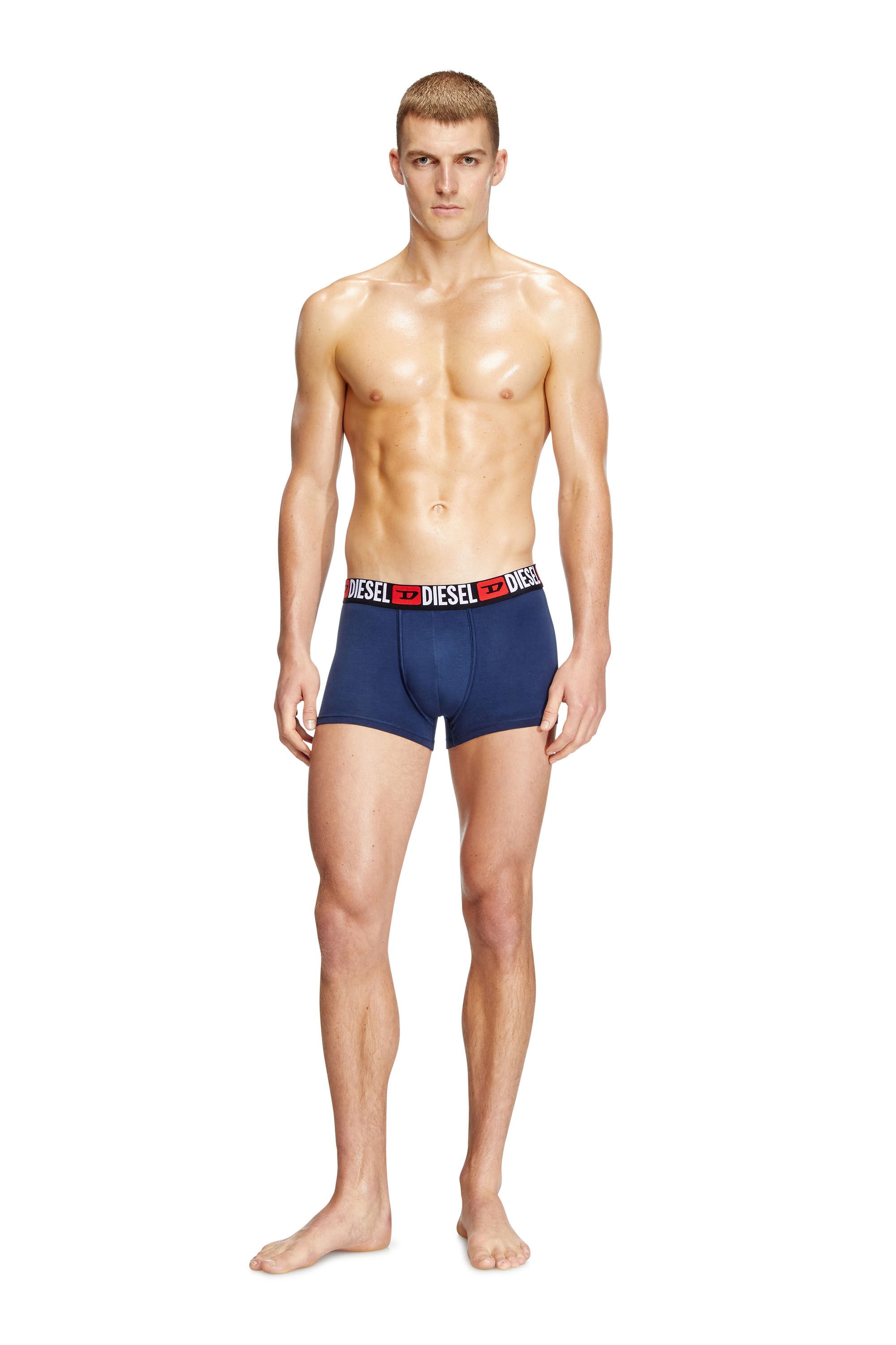 Diesel - UMBX-DAMIENTHREEPACK, Male's ボクサーパンツ3枚セット in グレー/ブルー - 1