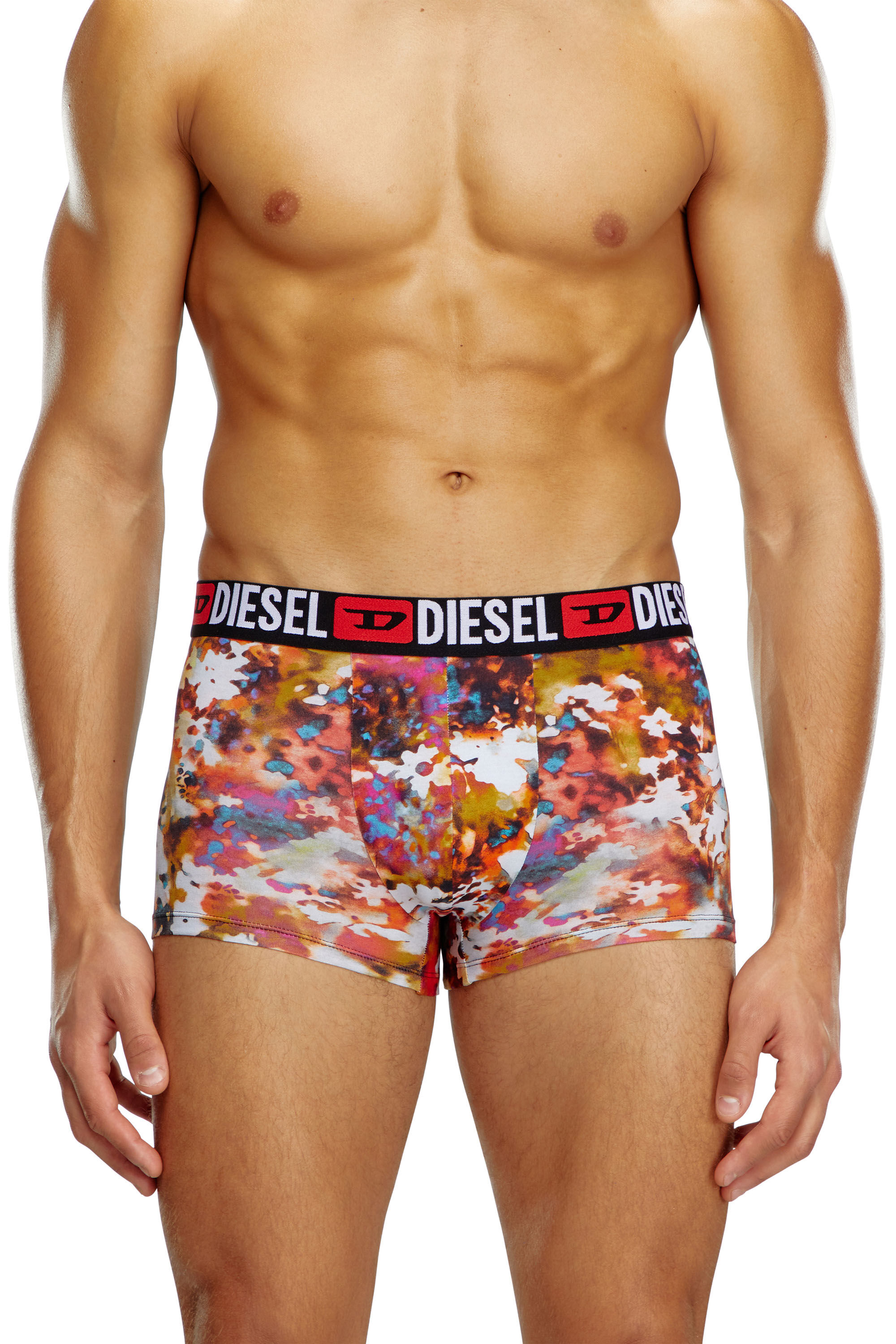 UMBX-DAMIENTHREEPACK 3-pack boxer briefs plain and floral｜マルチカラー｜メンズ｜DIESEL