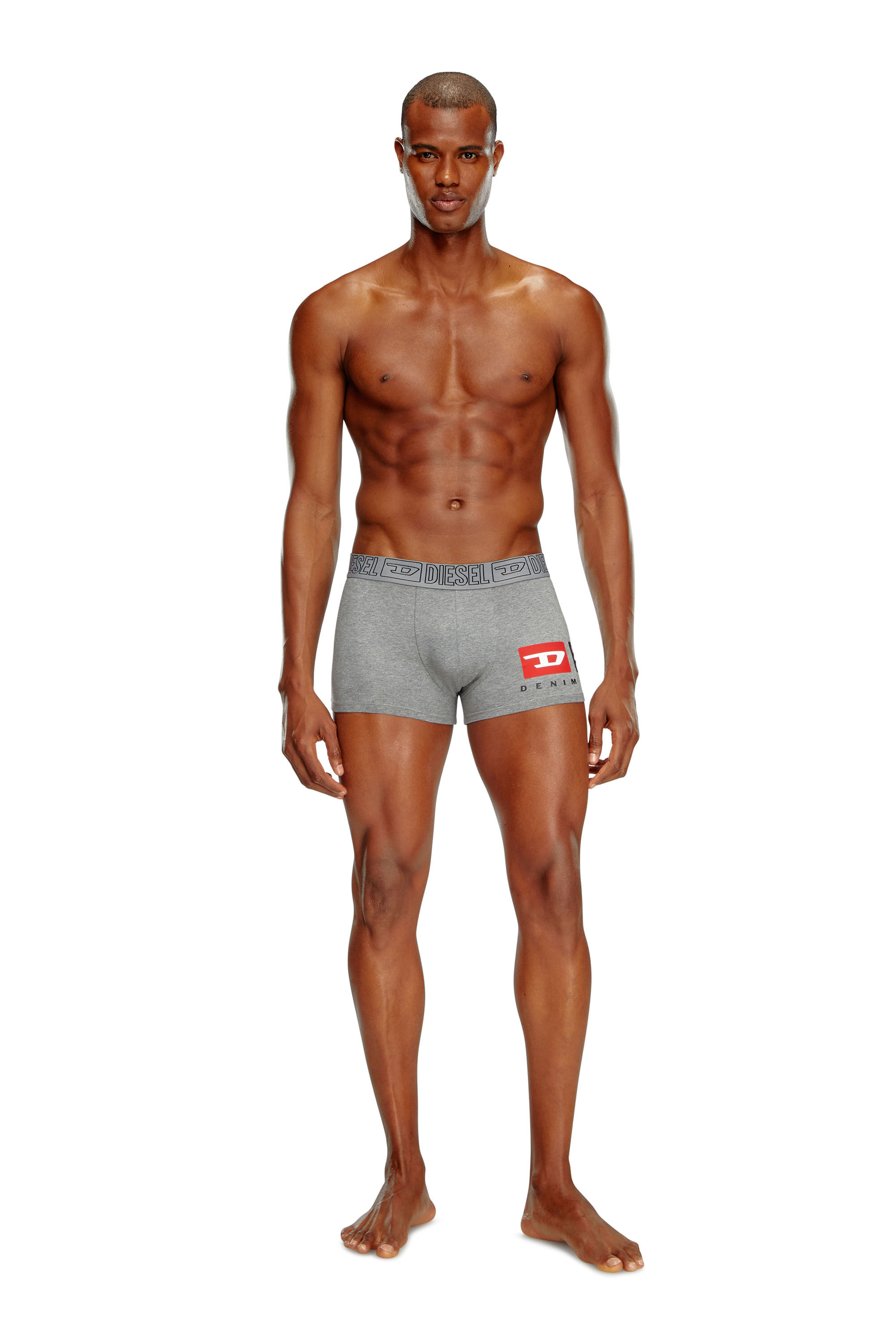 Diesel - UMBX-DAMIENTHREEPACK, Male's 3-pack of boxer briefs in stretch cotton in グレー/レッド - 1
