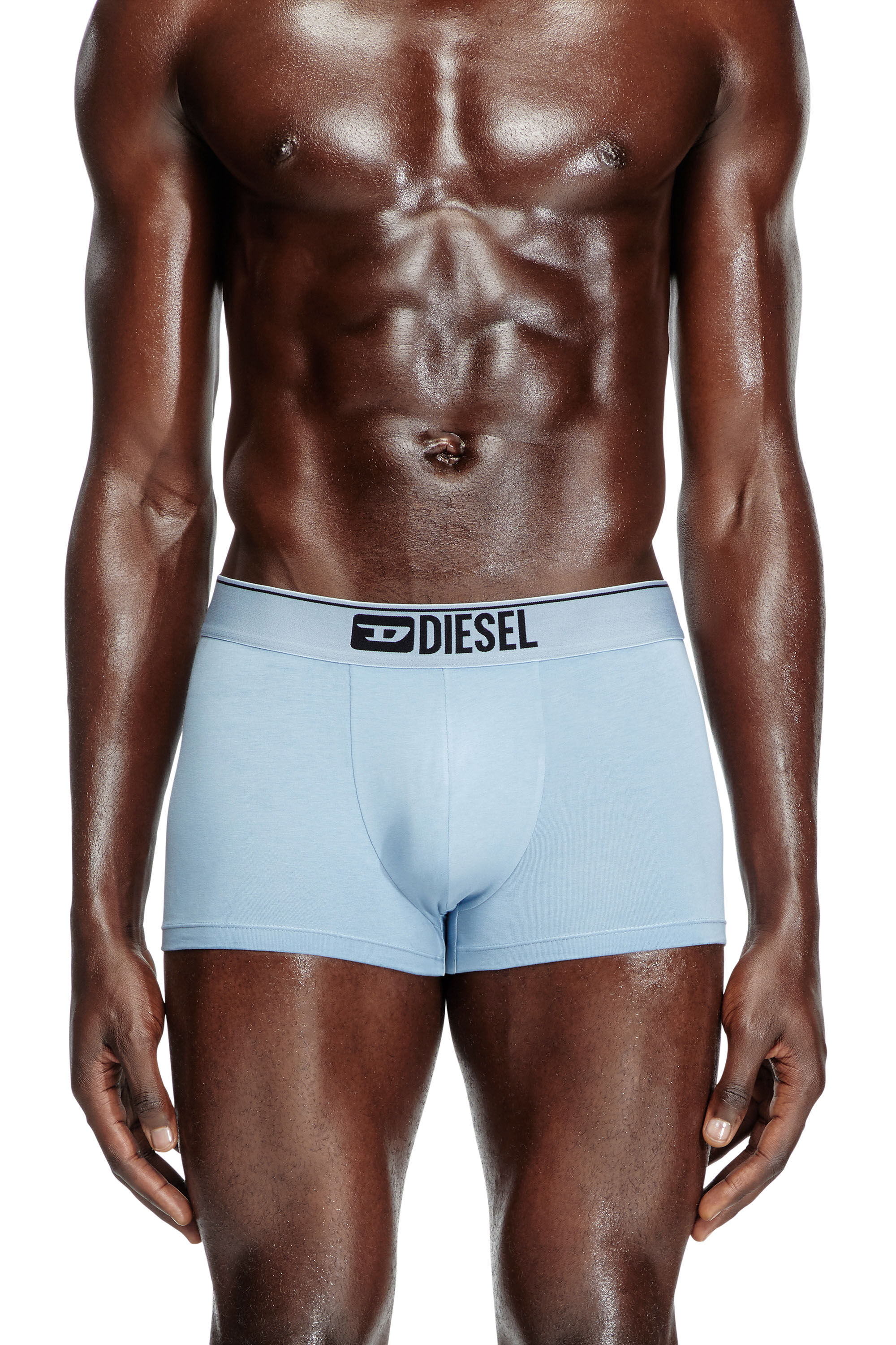 Diesel - DAMIEN-THREEPACK, Male's Three-pack boxer briefs with floral motif in ブルー/ホワイト - 3
