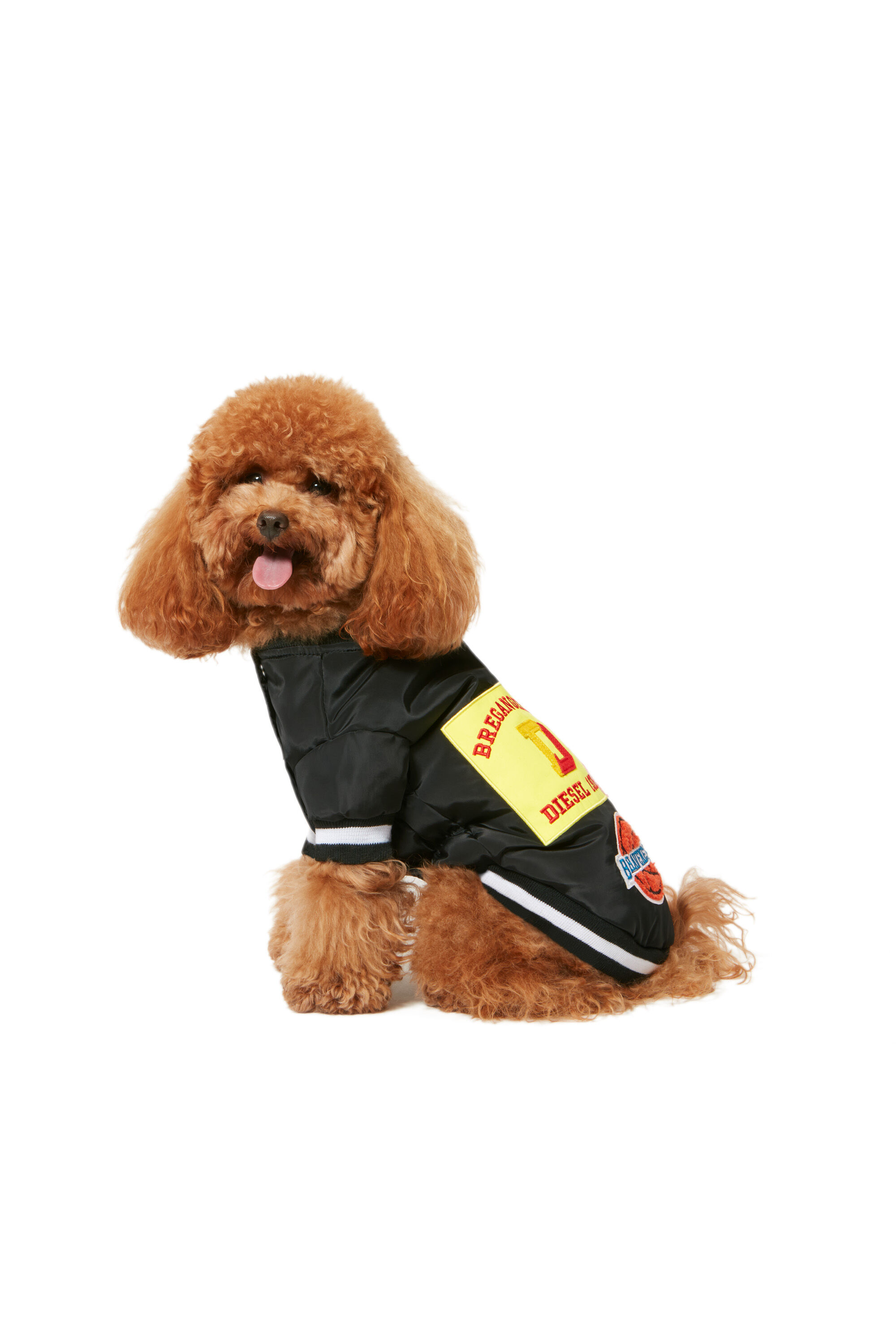 Diesel - PET-CHWORK, ブラック - Image 5