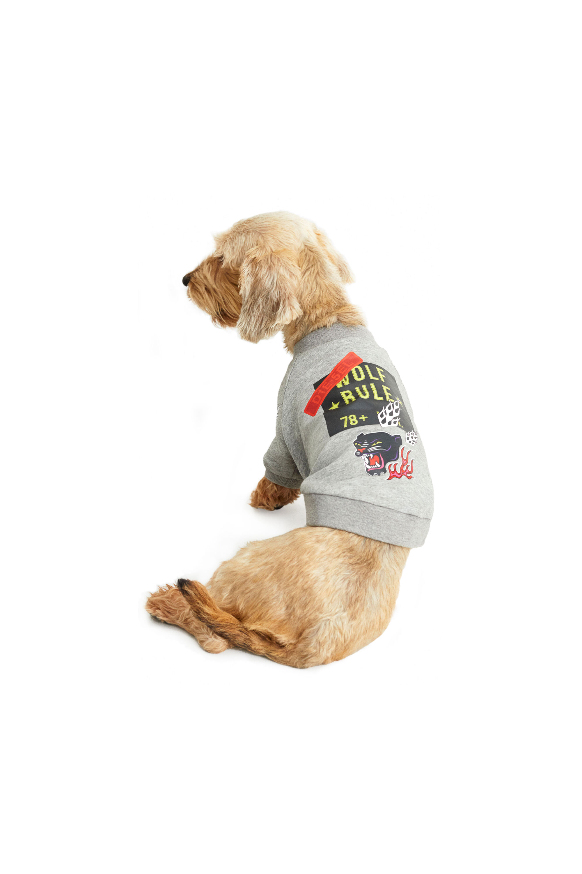 Diesel - PET-WOLF-GRY, グレー - Image 3