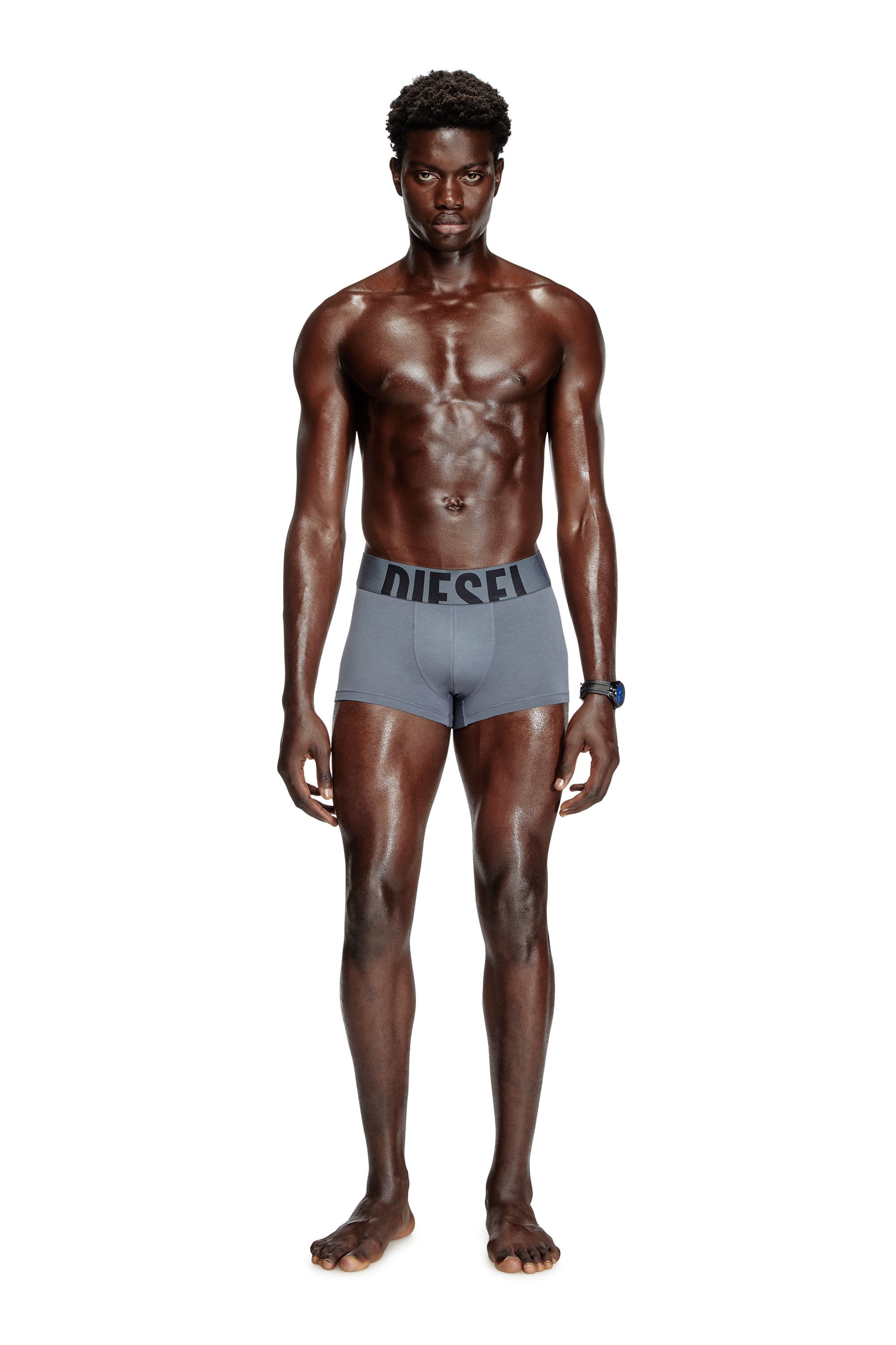 Diesel - UMBX-DAMIENTHREEPACK-5.5EL, Male's Three-pack boxer briefs in stretch cotton in レッド/グレー - 1