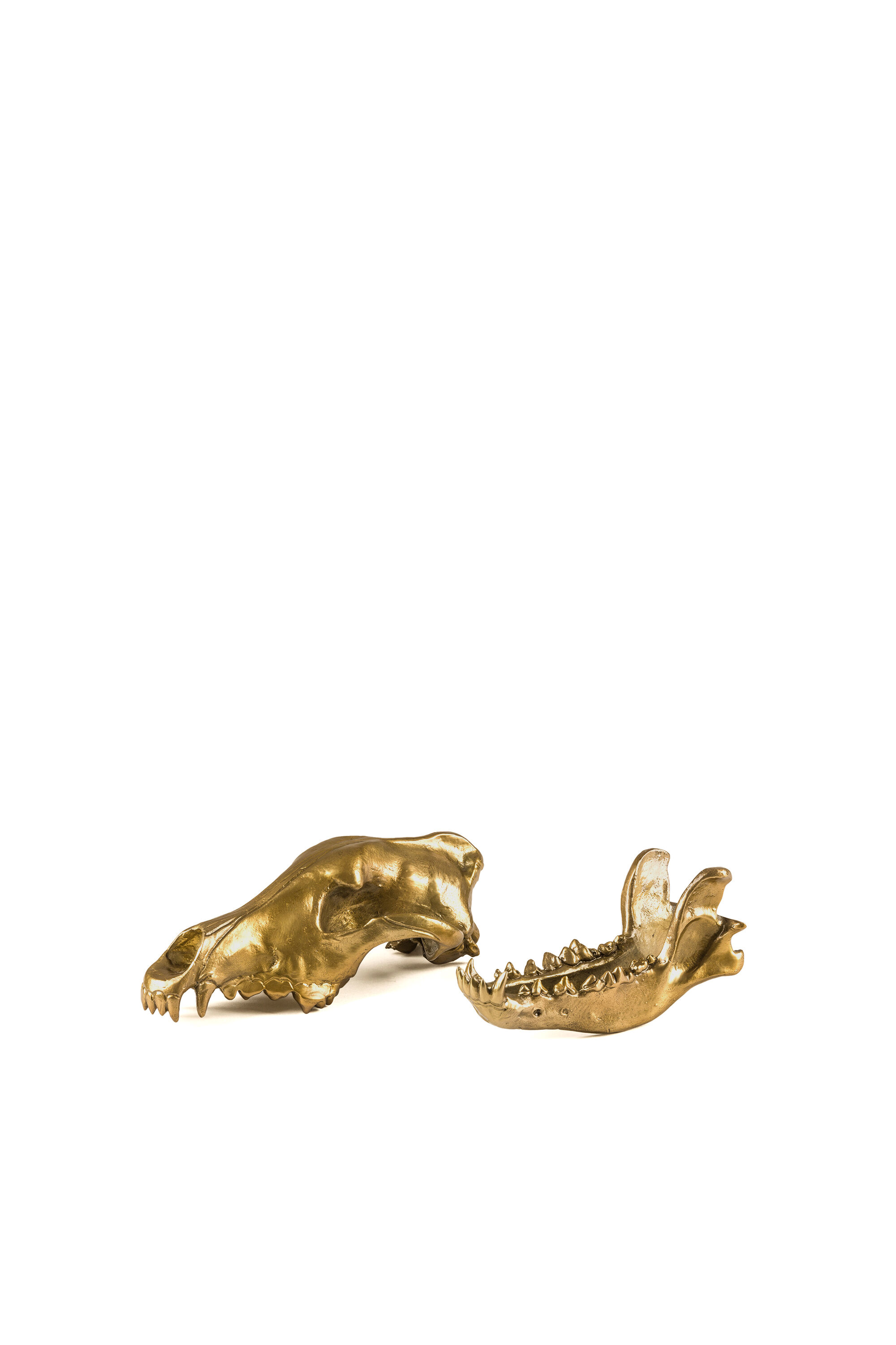 Diesel - 10892 Wunderkammer, Unisex's "Wolf This Way" Wunderkammer Wolf Skull in ゴールド - 4