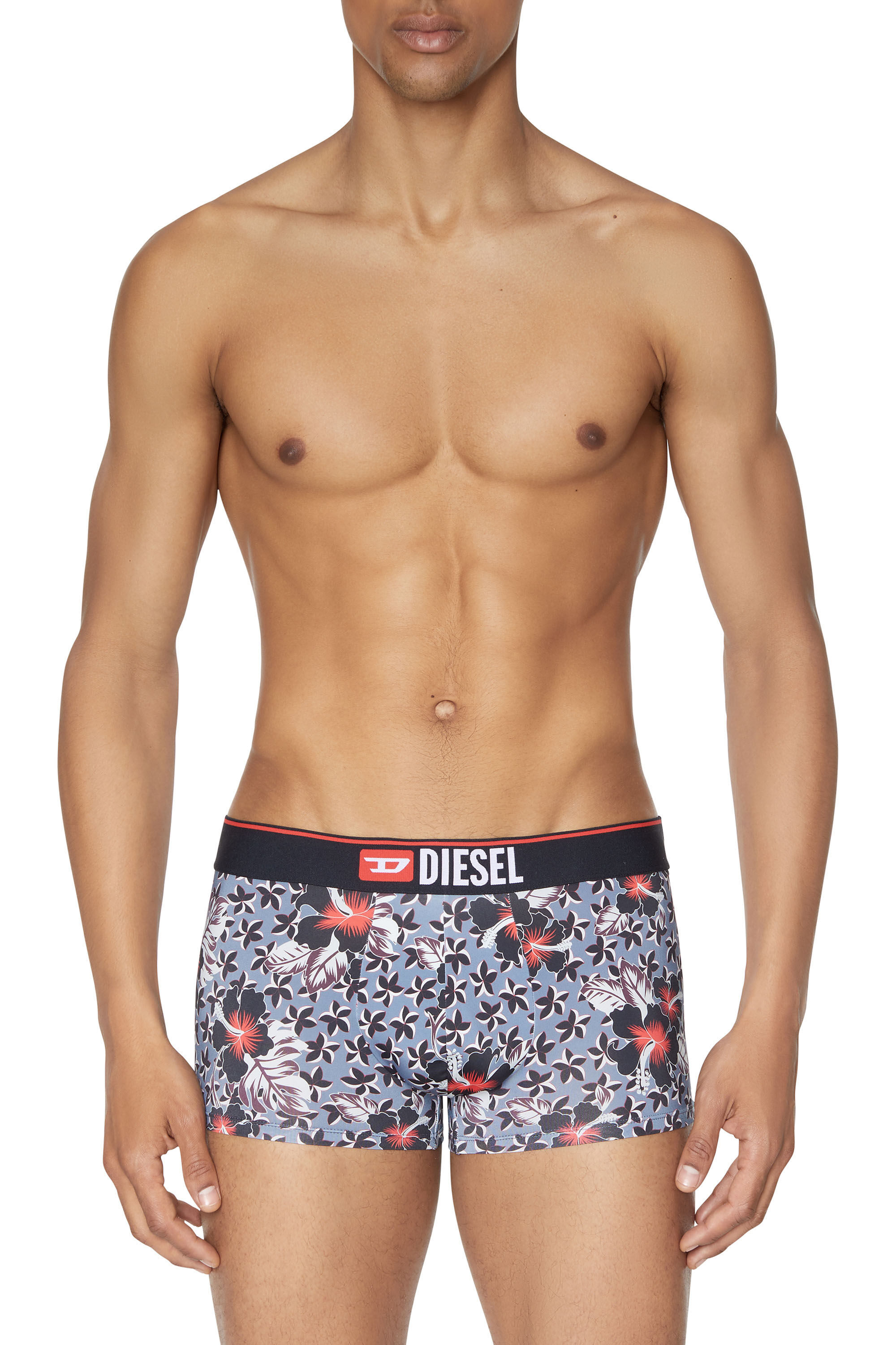 Diesel - 55-D, Male's ボクサーパンツ in グレー - 2