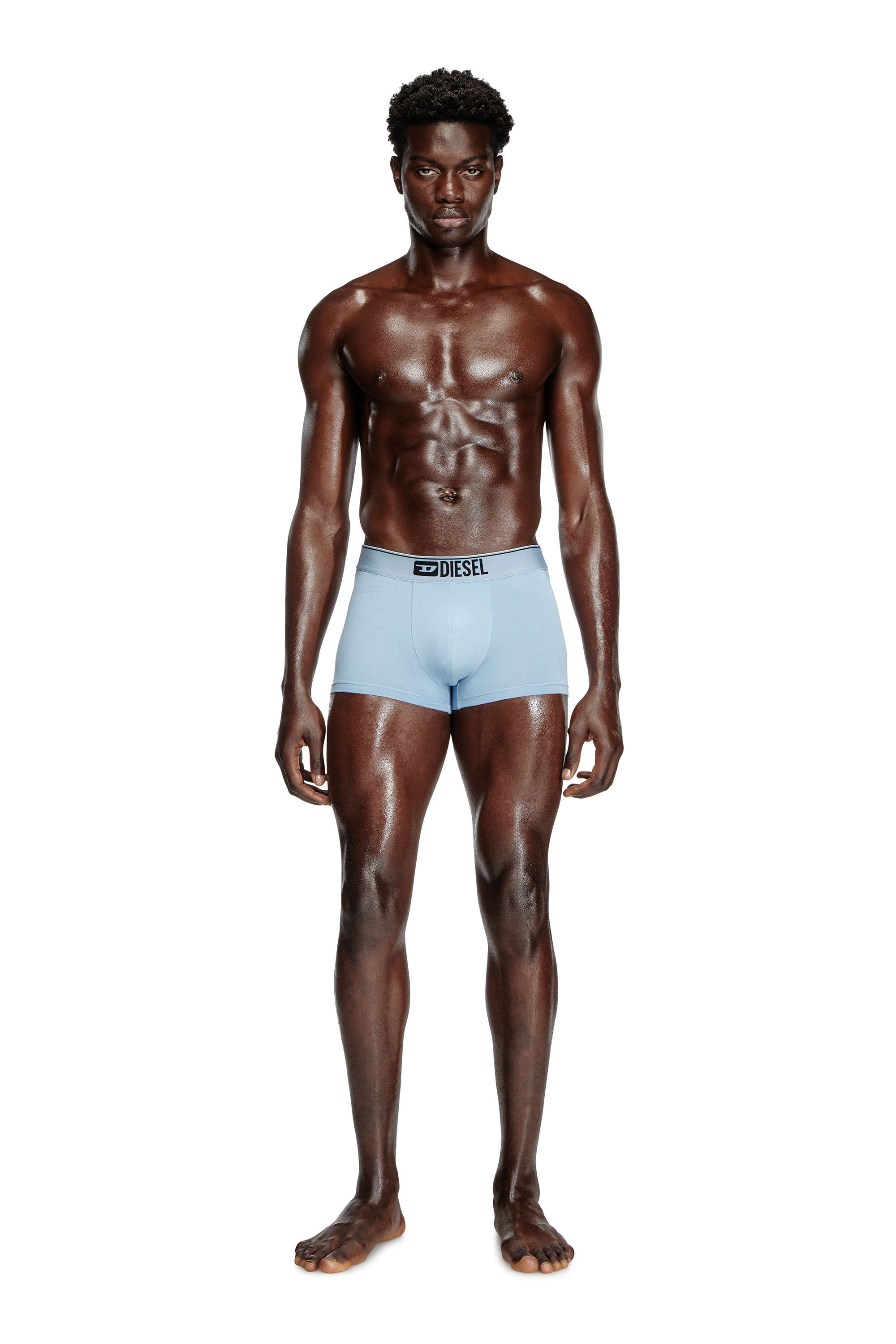 Diesel - DAMIEN-THREEPACK, Male's Three-pack boxer briefs with floral motif in ブルー/ホワイト - 1