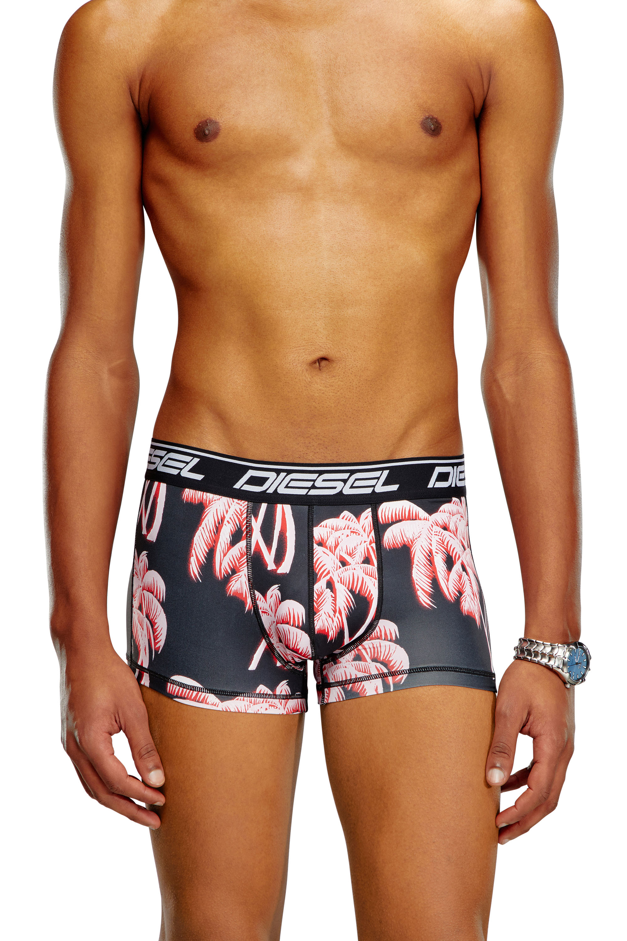 Diesel - UMBX-DAMIEN, Male's Printed microfibre boxer briefs in ブラック - 2