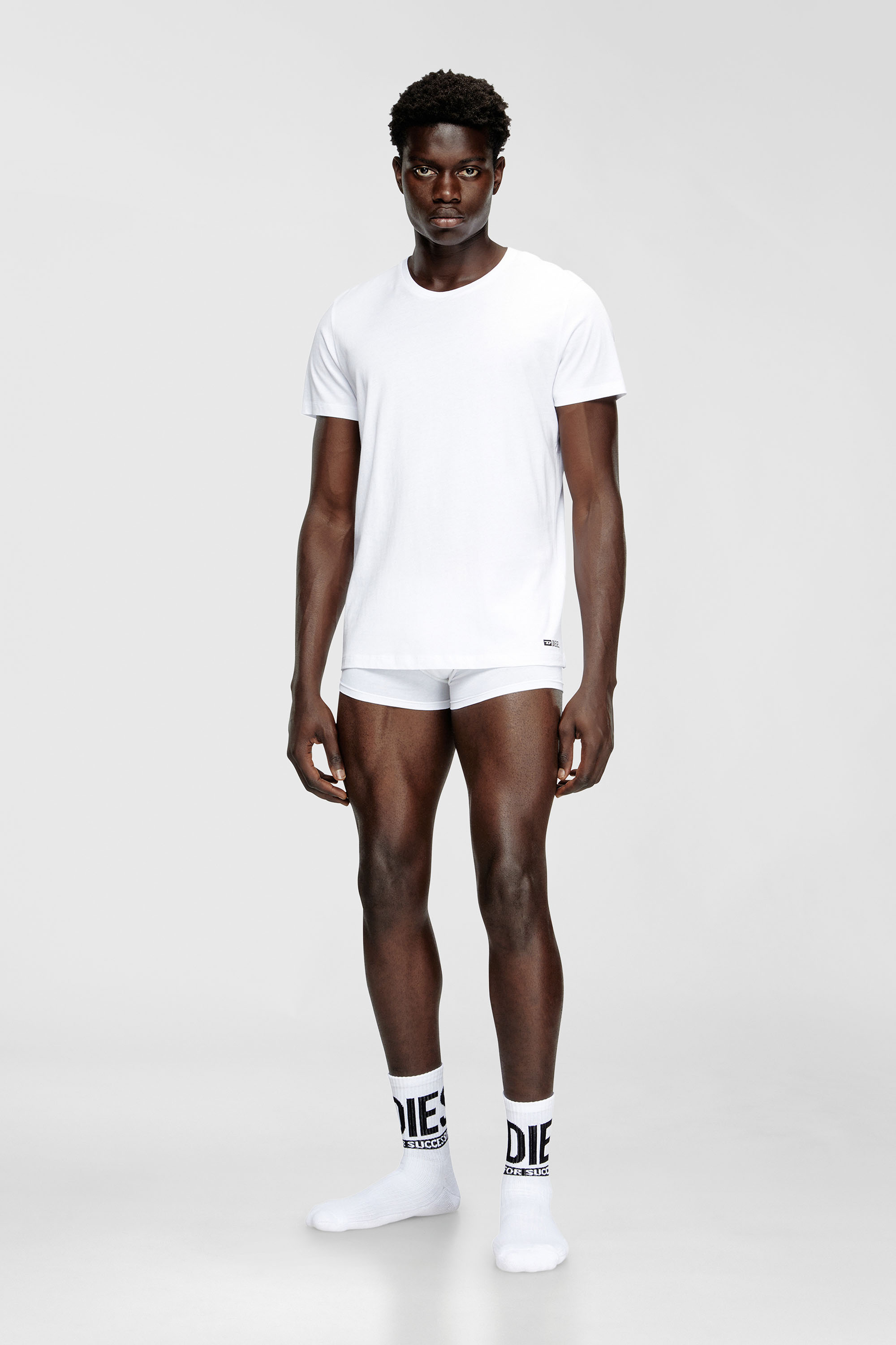 Diesel - RANDAL-D-BOX-3PACK, Male's Tシャツ3枚パック in ホワイト - 1