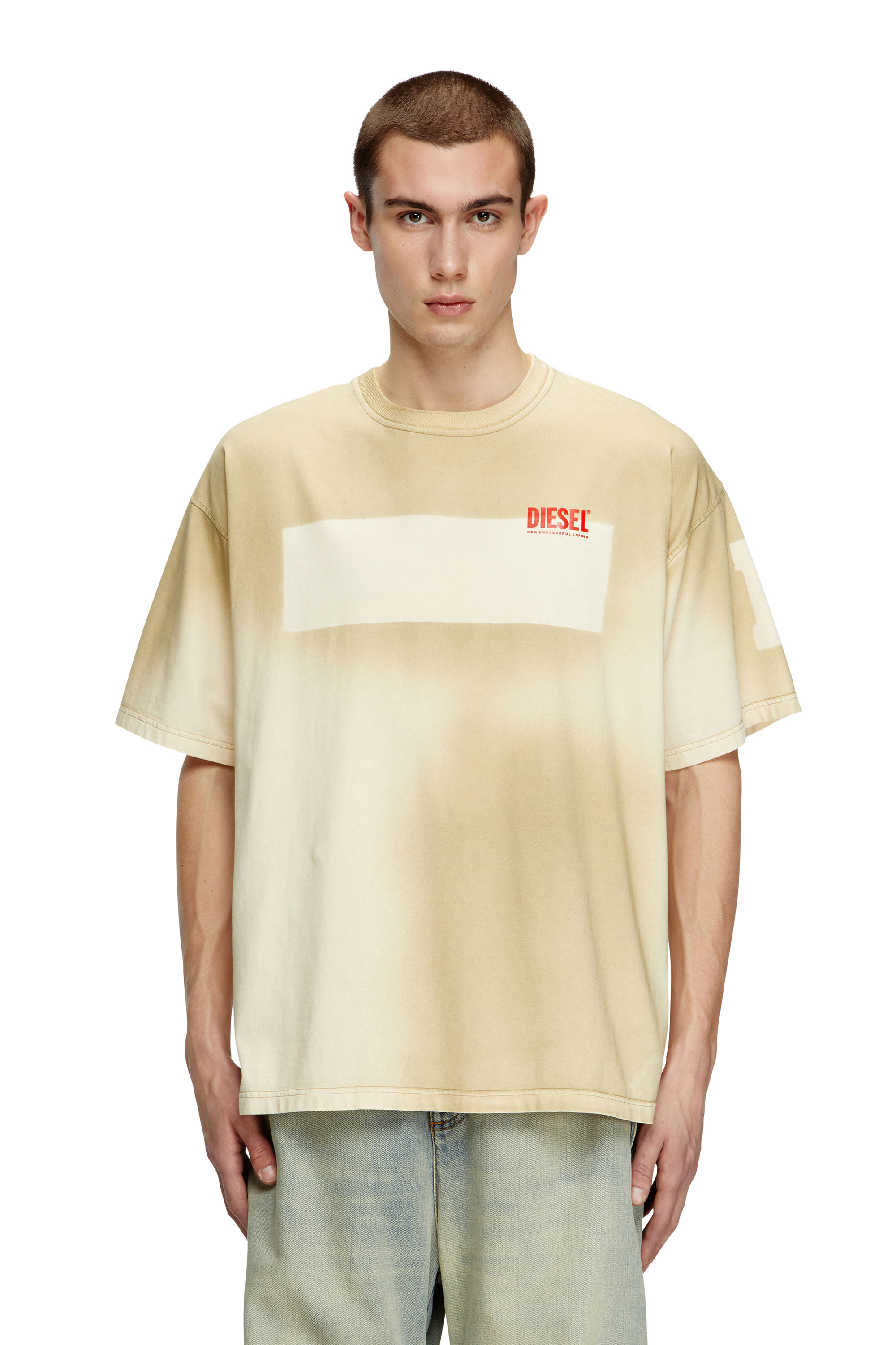 Diesel - T-BOXT-SLITS-R23, Male's Dirty-effect T-shirt with contrast effects in ベージュ - 1
