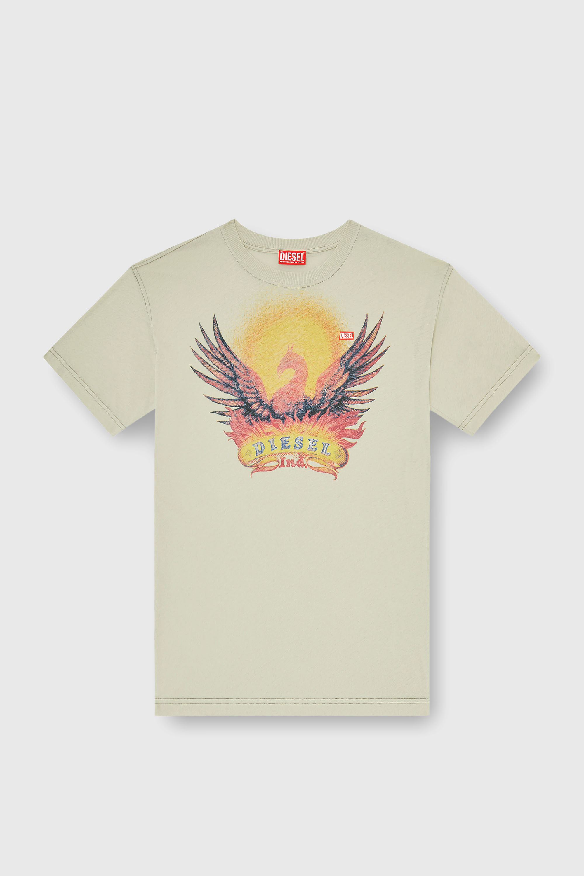 Diesel - T-NORM-AA1, Male's Tシャツ in ベージュ - 2