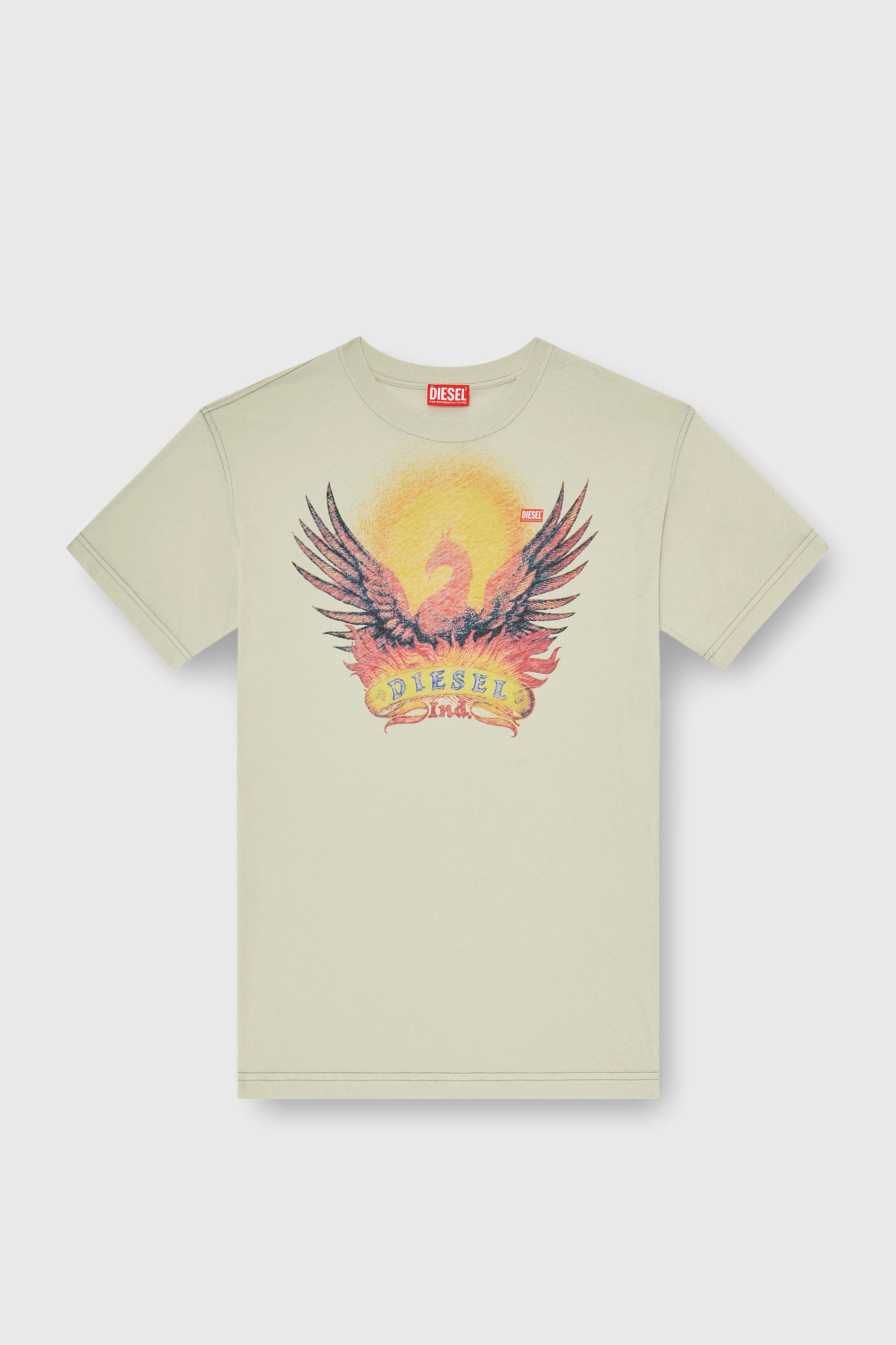 Diesel - T-NORM-AA1, Male's Tシャツ in ベージュ - 2