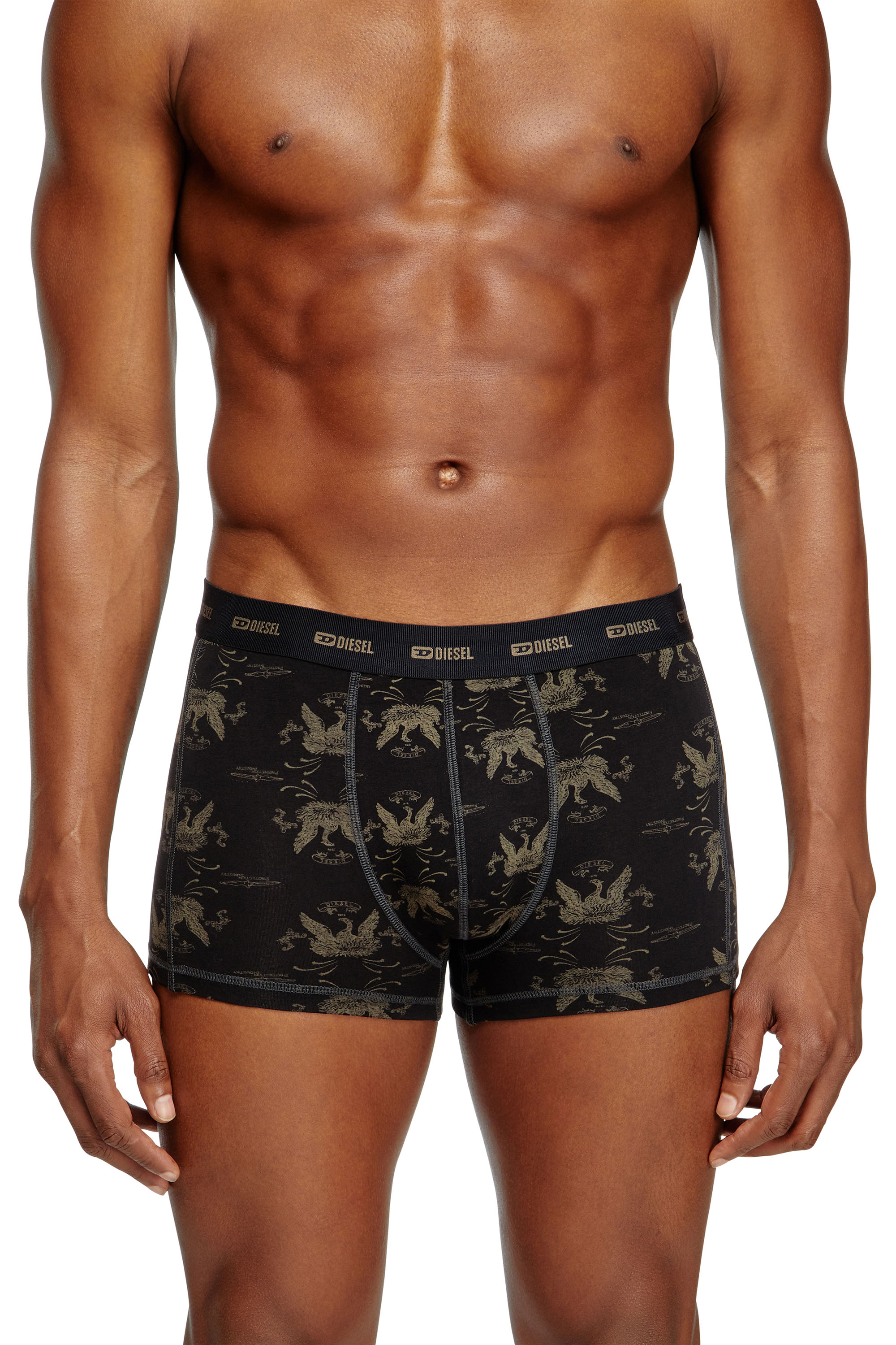 Diesel - DAMIEN-UTLT-3PACK, Male's 3-pack boxer briefs with Phoenix print in ブラック/ベージュ - 2