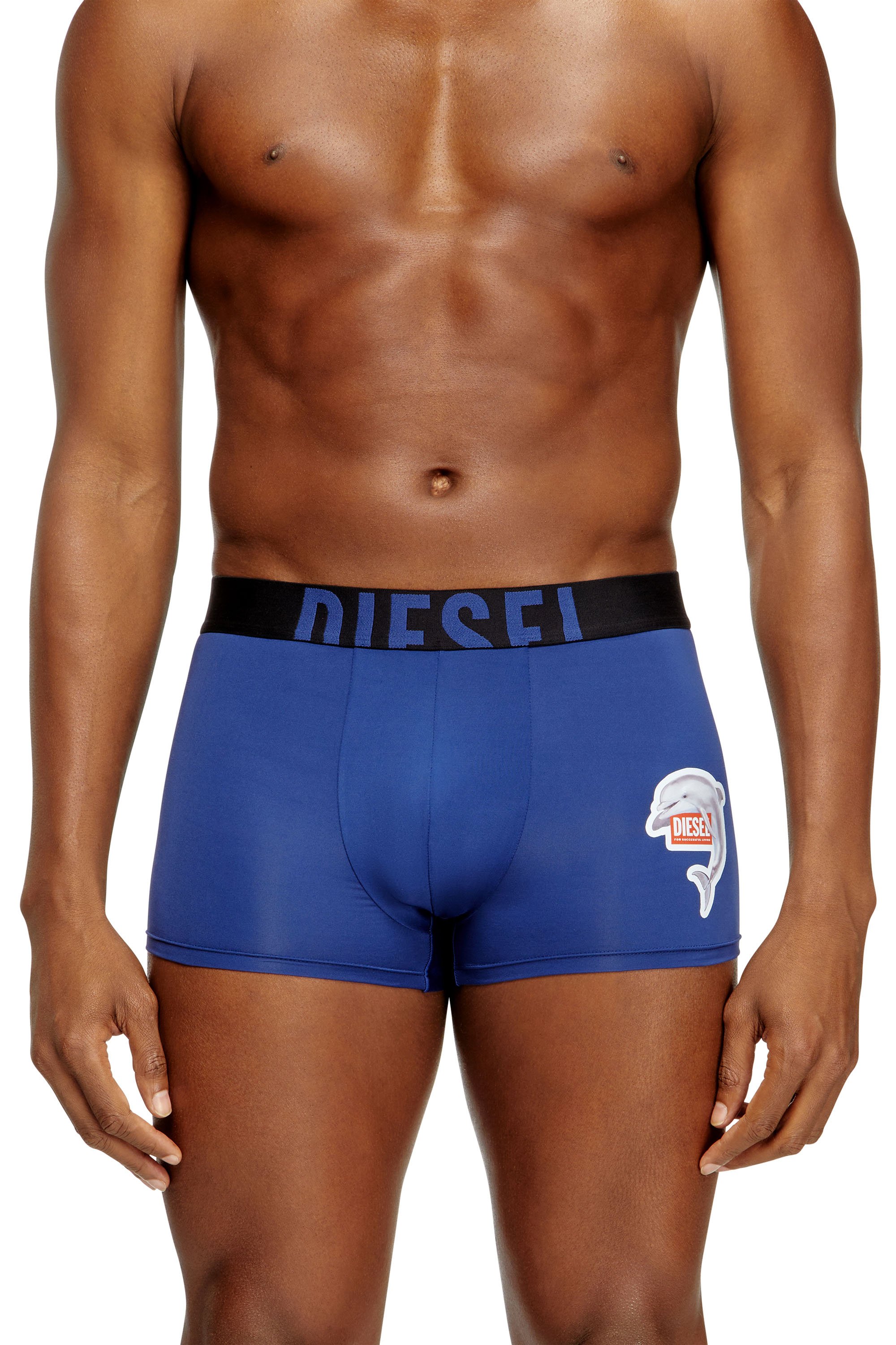 Diesel - DAMIEN-D-POP-40, Male's ボクサーパンツ in ブルー - 2