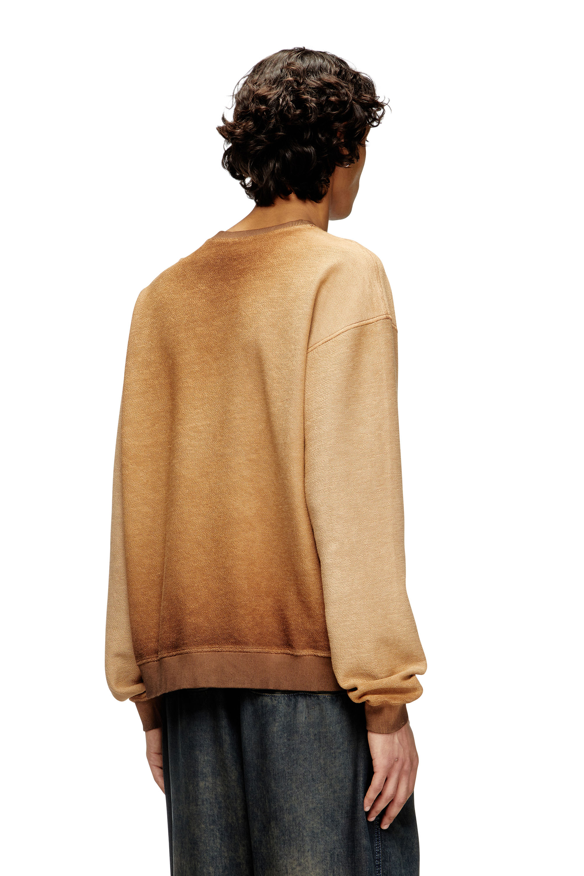 Diesel - S-ARON, Male's Faded sweatshirt with devoré Phoenix logo in ブラウン - 4